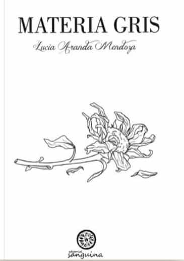 Portada del Libro Materia Gris de Lucia Aranda Mendoza - 9788412066401