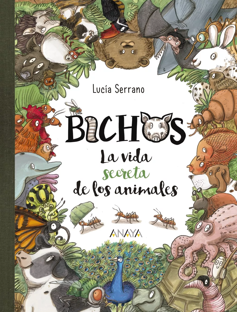Portada del Libro Bichos: La Vida Secreta De Los Animales de Lucia Serrano - 9788469859018