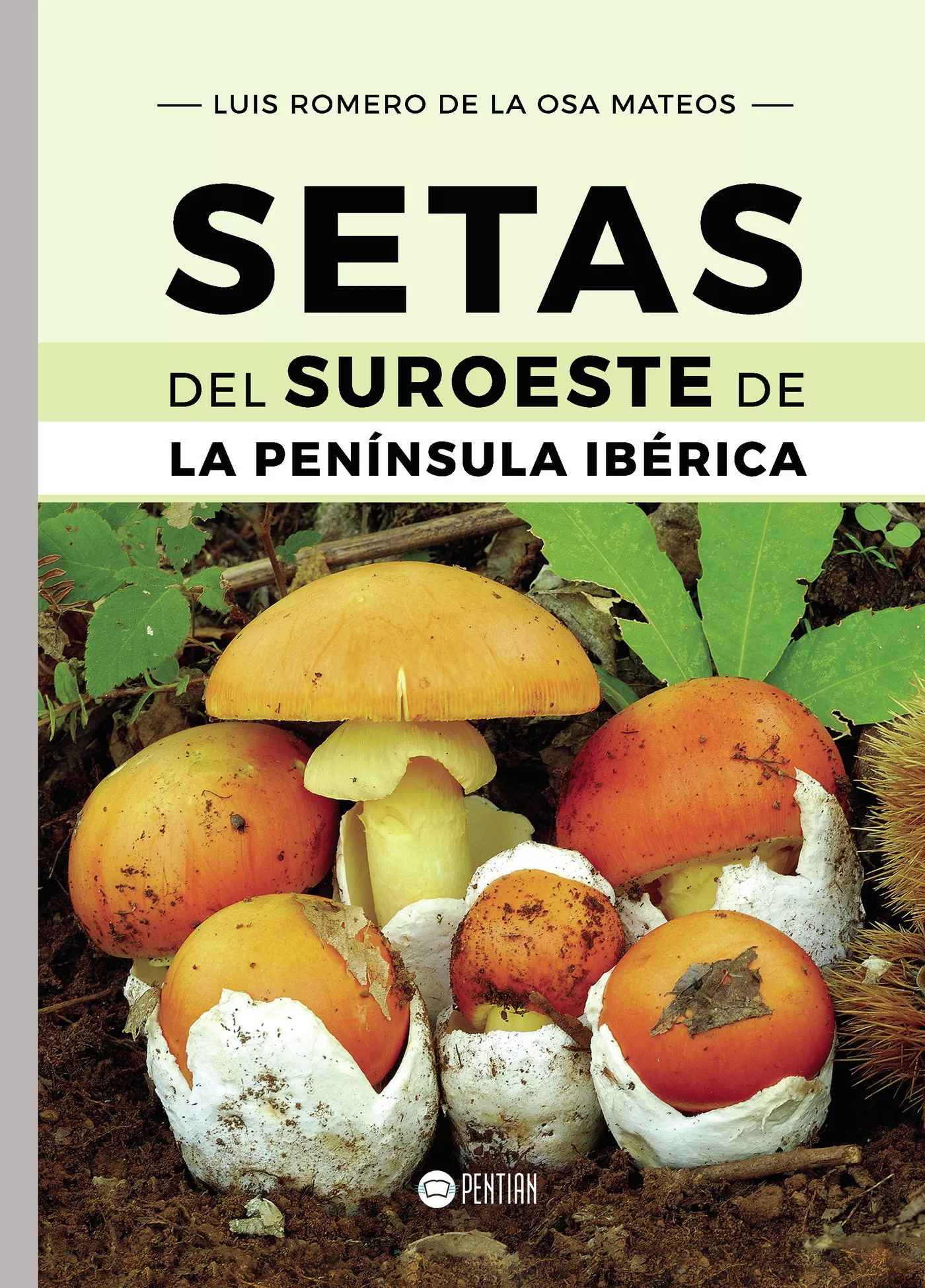 Portada del Libro Setas Del Suroeste De La Península Ibérica de Luis Romero De La Osa Mateos - 9788417102340