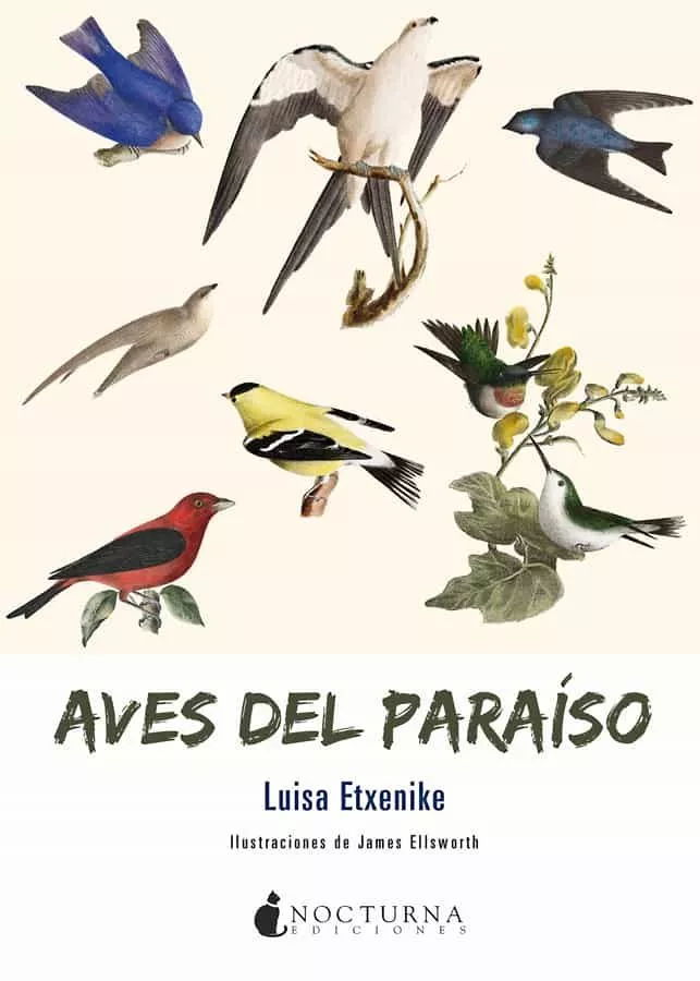 Portada del Libro Aves Del Paraiso de Luisa Etxenike - 9788417834210