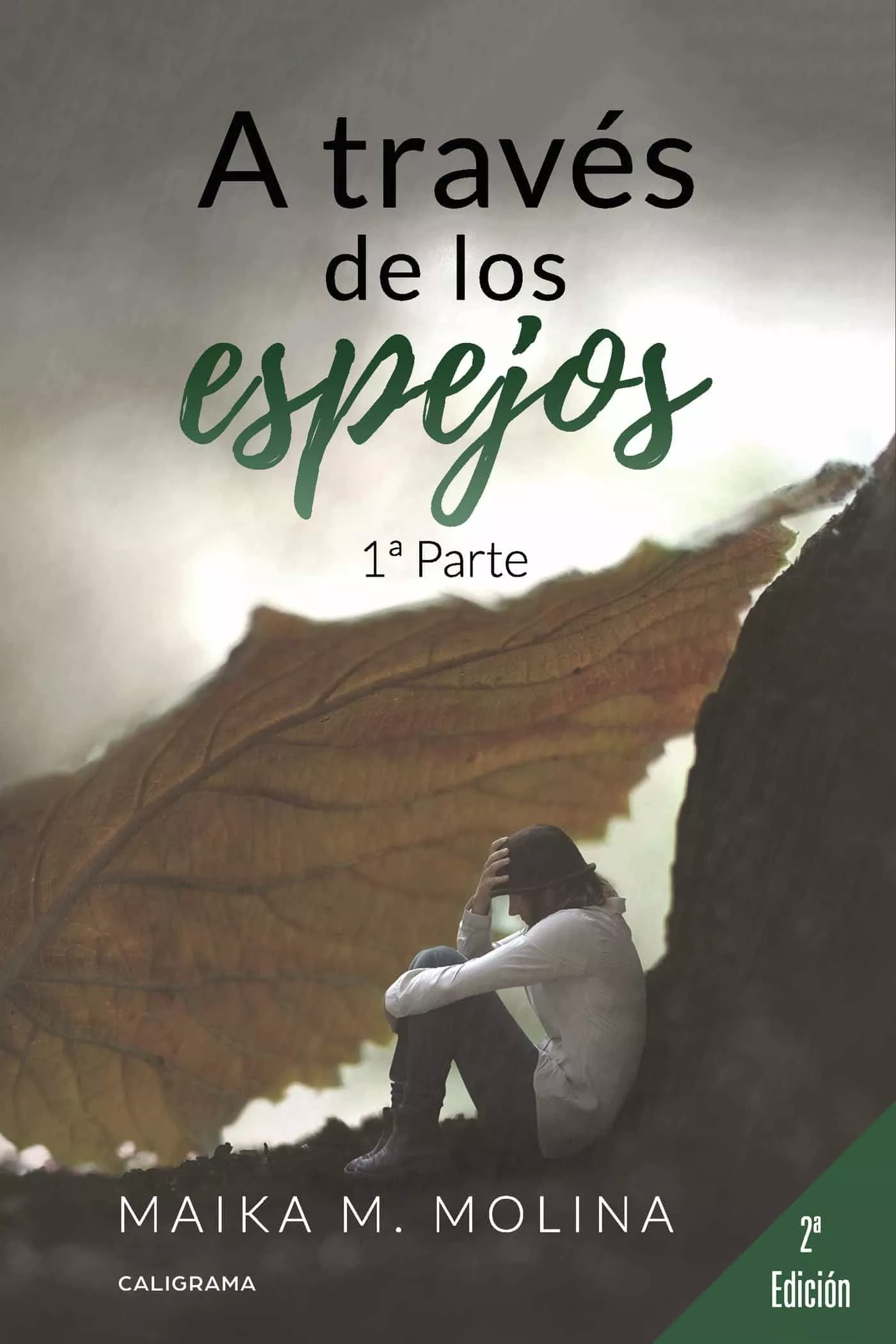 Portada del Libro (I.B.D.) A Traves De Los Espejos (1ª Parte) de Maika M. Molina - 9788417915520