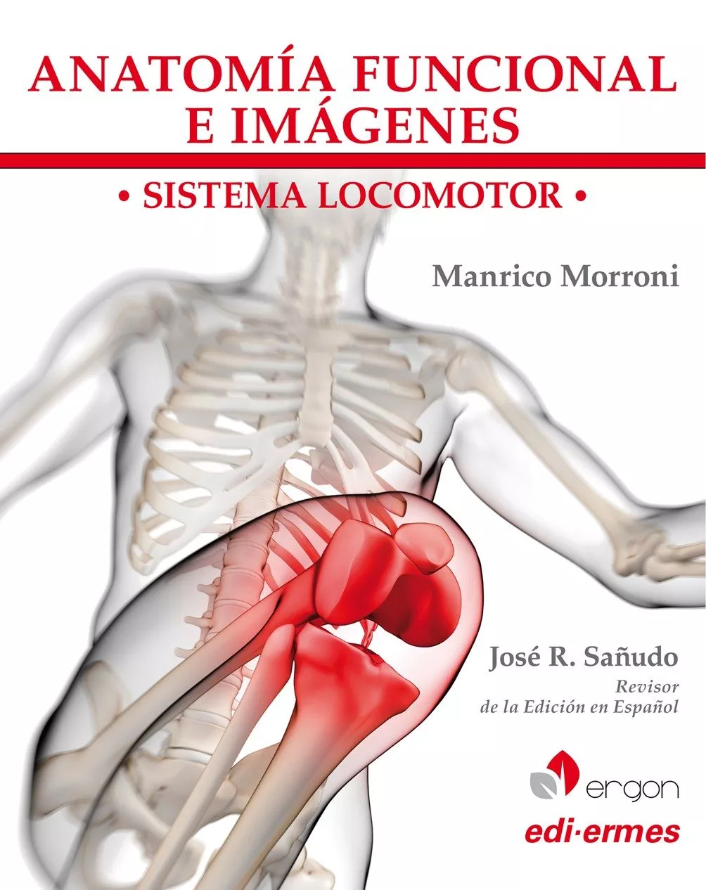 Portada del Libro Anatomia Funcional E Imagenes: Sistema Locomotor de Manrico Morroni - 9788870516371