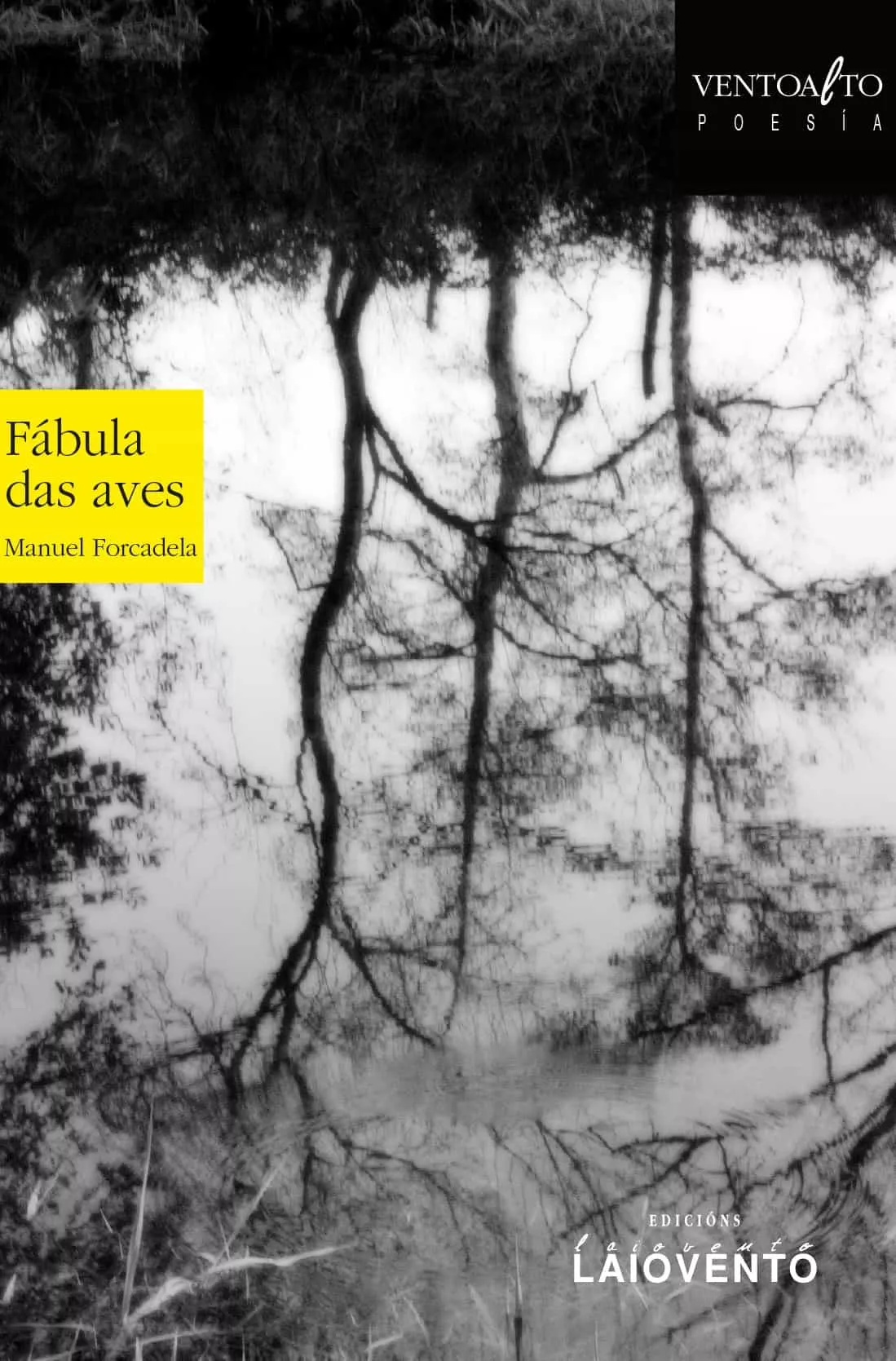 Portada del Libro Fabula Das Aves de Manuel Forcadela - 9788484874621