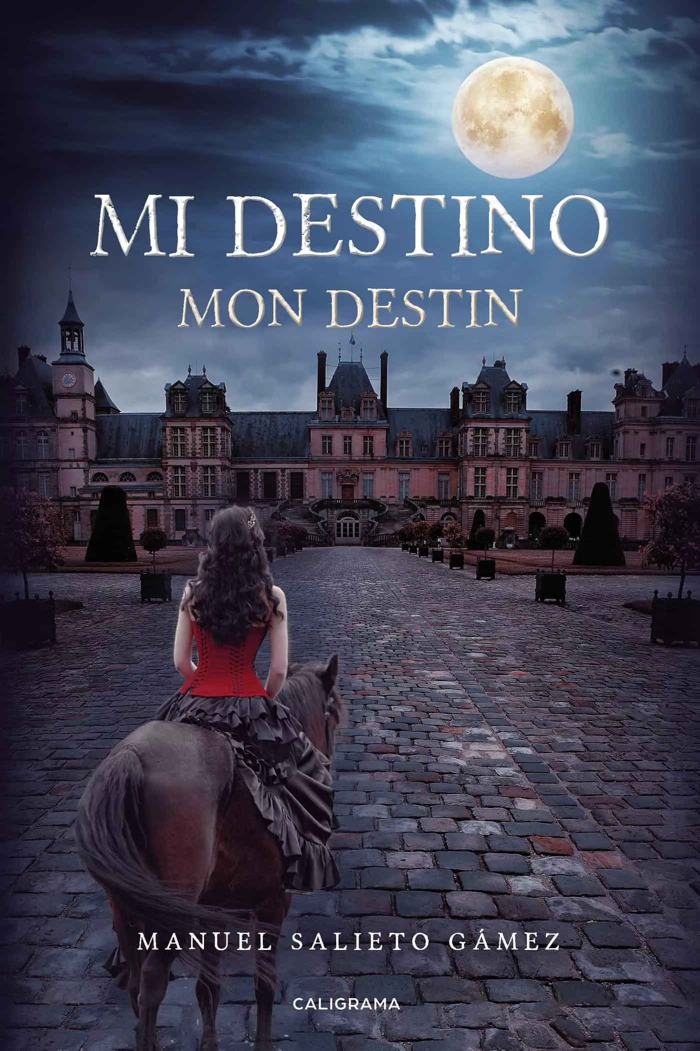 Portada del Libro (I.B.D.) Mi Destino de Manuel Salieto Gamez - 9788418104176