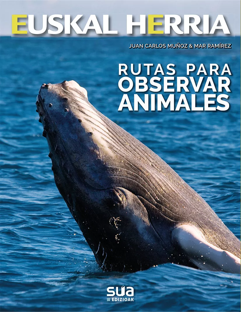 Portada del Libro Rutas Para Observar Animales de Mar Ramirez - 9788482167237