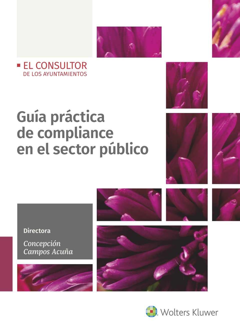 Portada del Libro Guia Practica De Compliance En El Sector Publico de Maria Concepcion Campos Acuña - 9788470528118