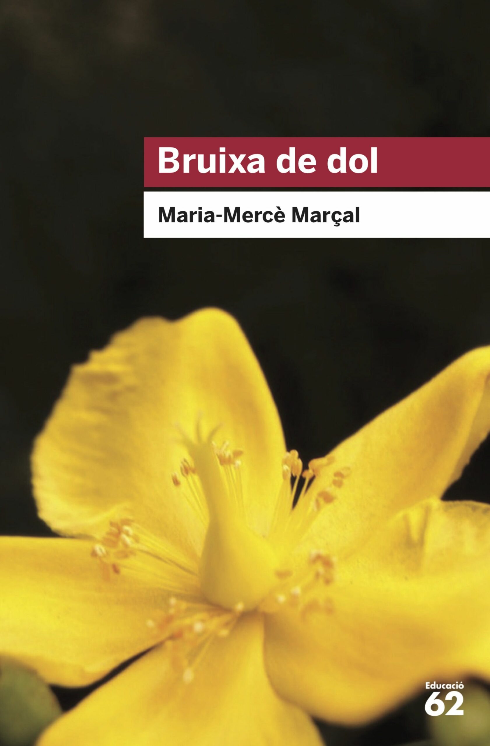 Portada del Libro Bruixa De Dol (1977-1979) de Maria Merce Marcal Serra - 9788415954736