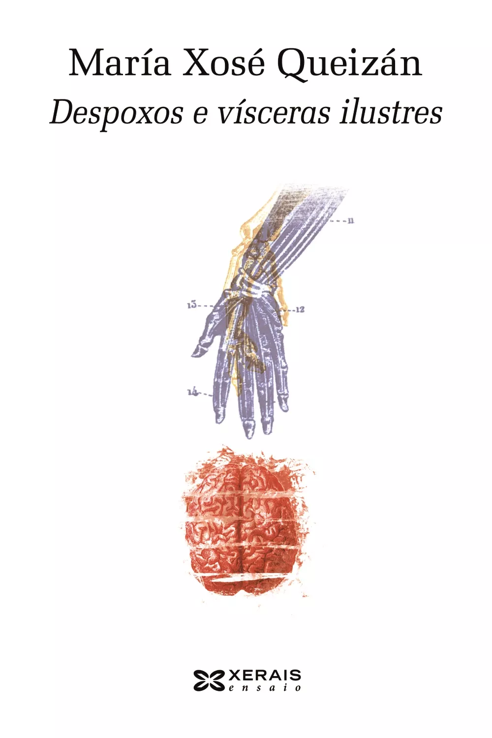 Portada del Libro Despoxos E Visceras Ilustres de Maria Xose Queizan - 9788491216377