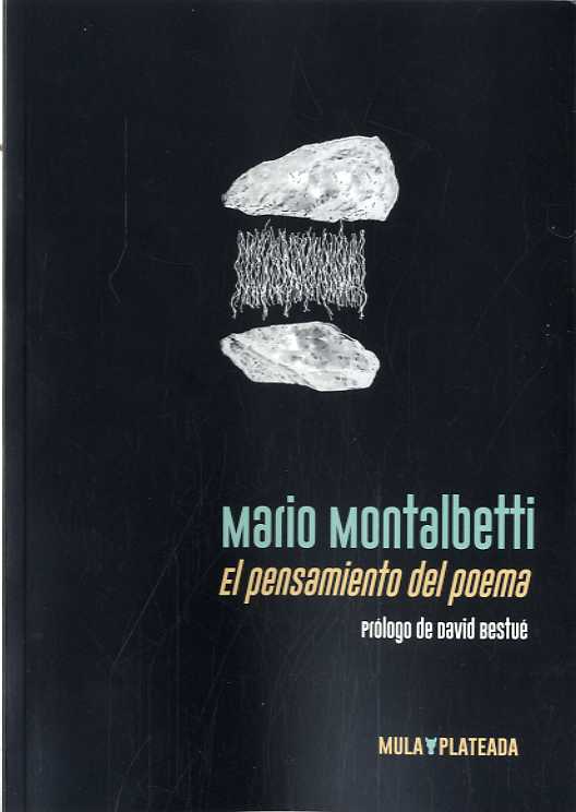 Portada del Libro Pensamiento Del Poema El de Mario Montalbetti - 9788412138016