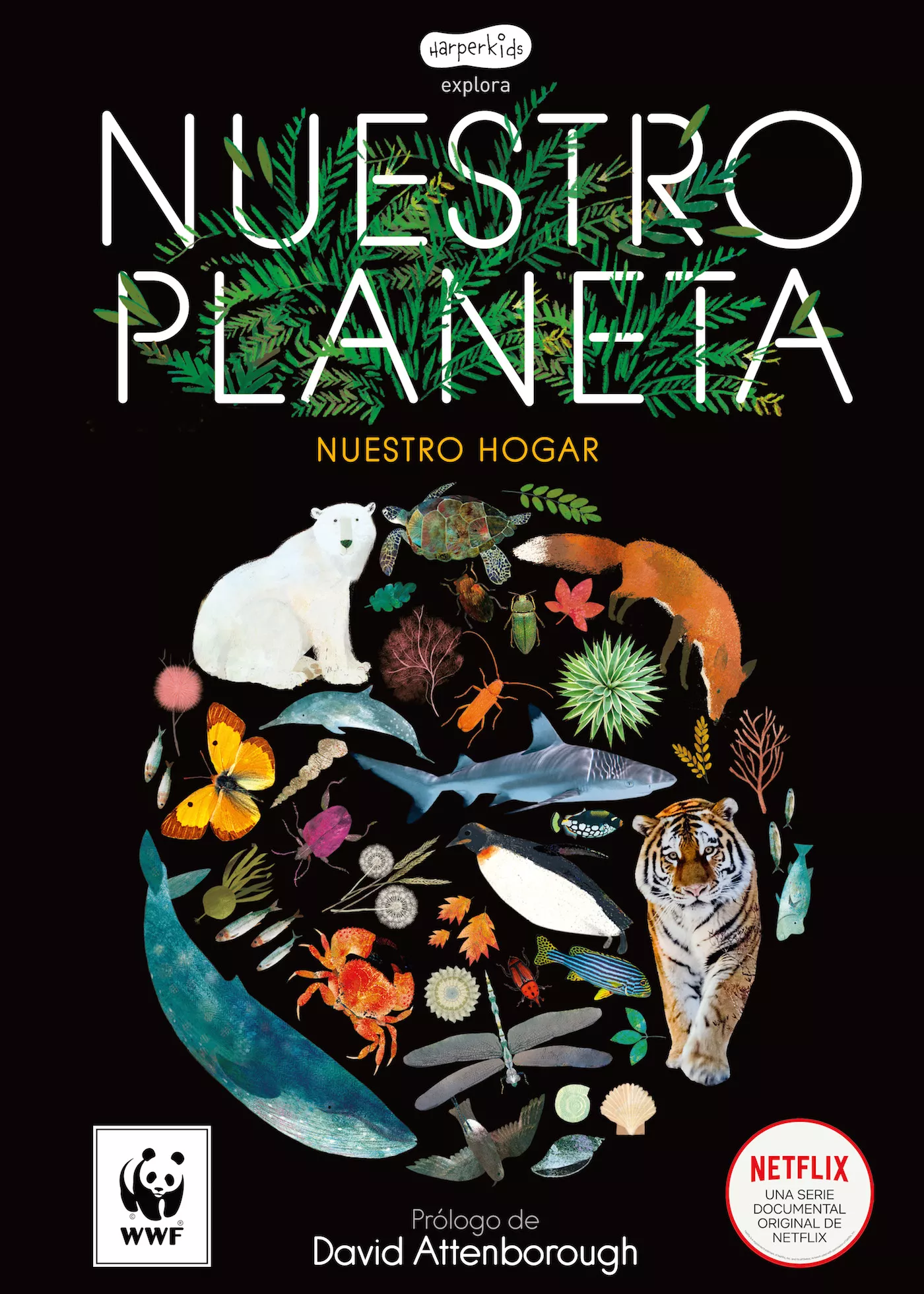Portada del Libro Nuestro Planeta de Matt Whyman - 9788417222765