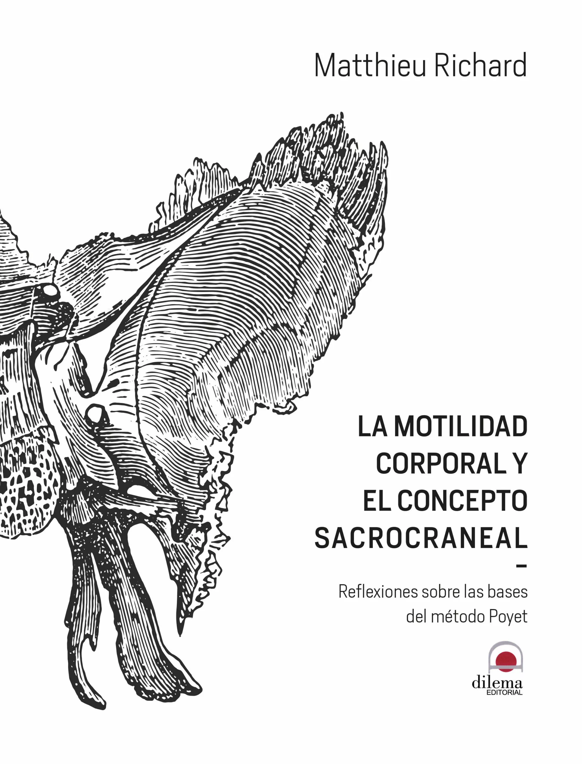 Portada del Libro La Motilidad Corporal Y El Concepto Sacrocraneal: Reflexiones Sobre La de Matthieu Richard - 9788498274684