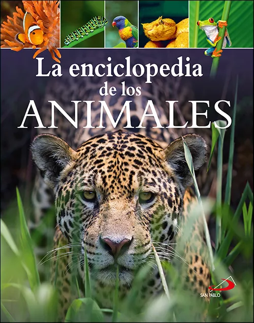 Portada del Libro La Encilopedia De Los Animales de Meriel Lland - 9788428557511