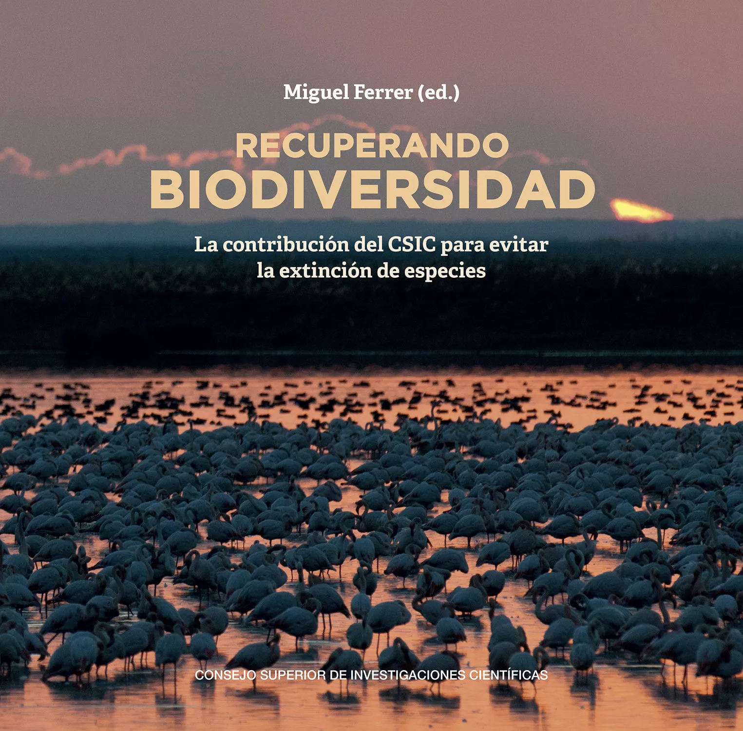Portada del Libro Recuperando Biodiversidad: La Contribución Del Csic Para Evitar La Ext de Miguel Ferrer Baena - 9788400105426