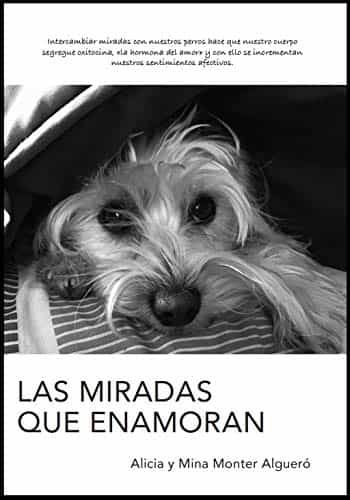 Portada del Libro Las Miradas Que Enamoran de Mina Monter Alguero - 9788484111283