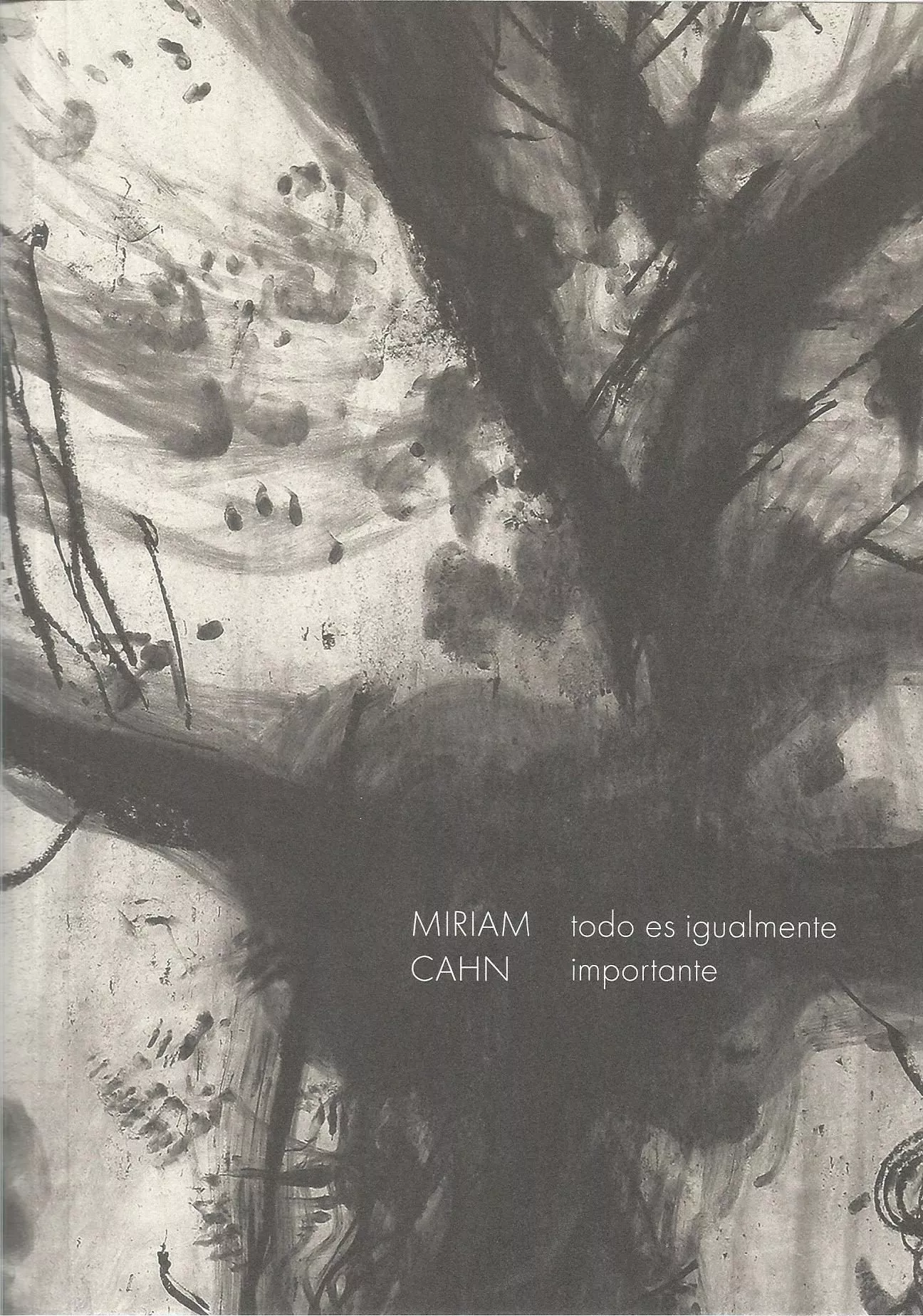Portada del Libro Todo Es Igualmente Importante de Miriam Cahn - 9788480265980