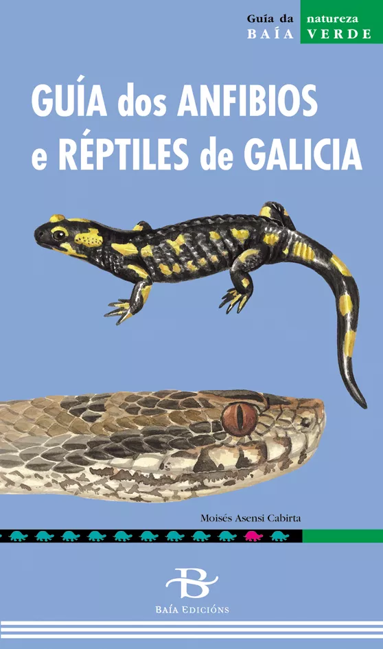 Portada del Libro Guia Dos Anfibios E Reptiles De Galicia de Moises Asensi Cabirta - 9788496526297
