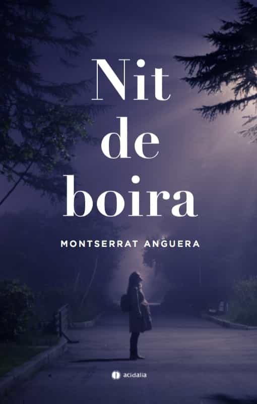Portada del Libro Nit De Boira de Montserrat Anguera I Soler - 9788417852740
