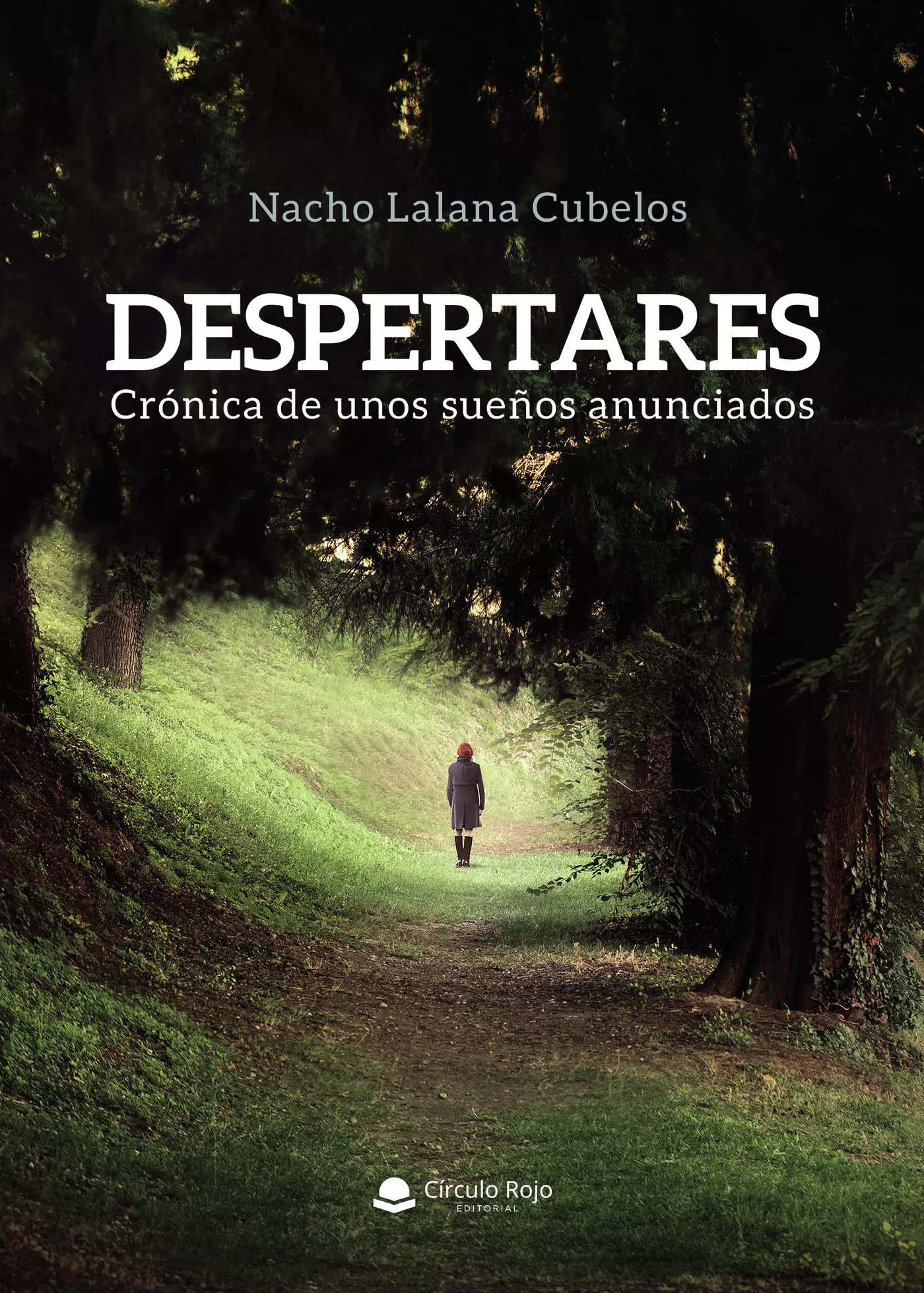 Portada del Libro Despertares. Crónica De Unos Sueños Anunciados de Nacho Lalana Cubelos - 9788413313894