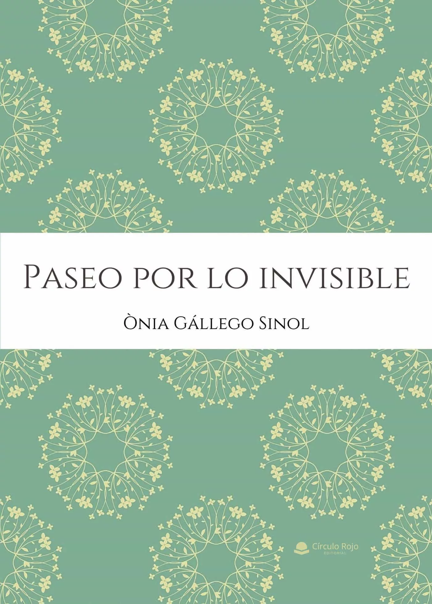 Portada del Libro Paseo Por Lo Invisible de Nia Gallego Sinol - 9788413387062