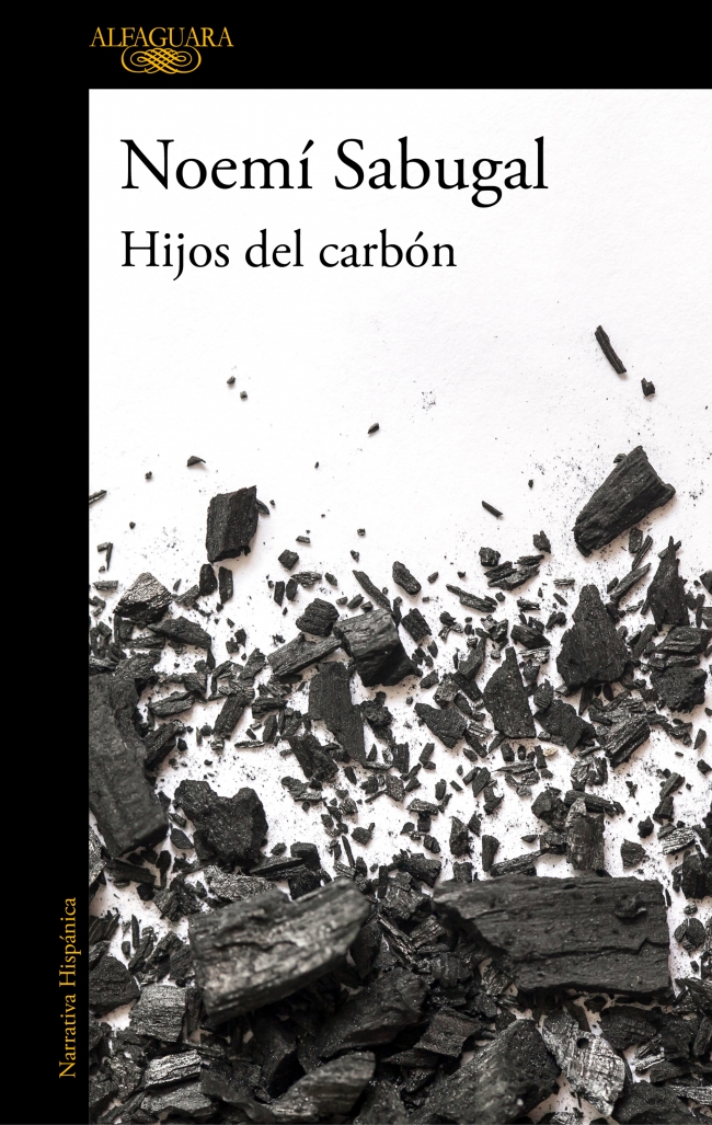 Portada del Libro Hijos Del Carbón de Noemi Sabugal - 9788420439440
