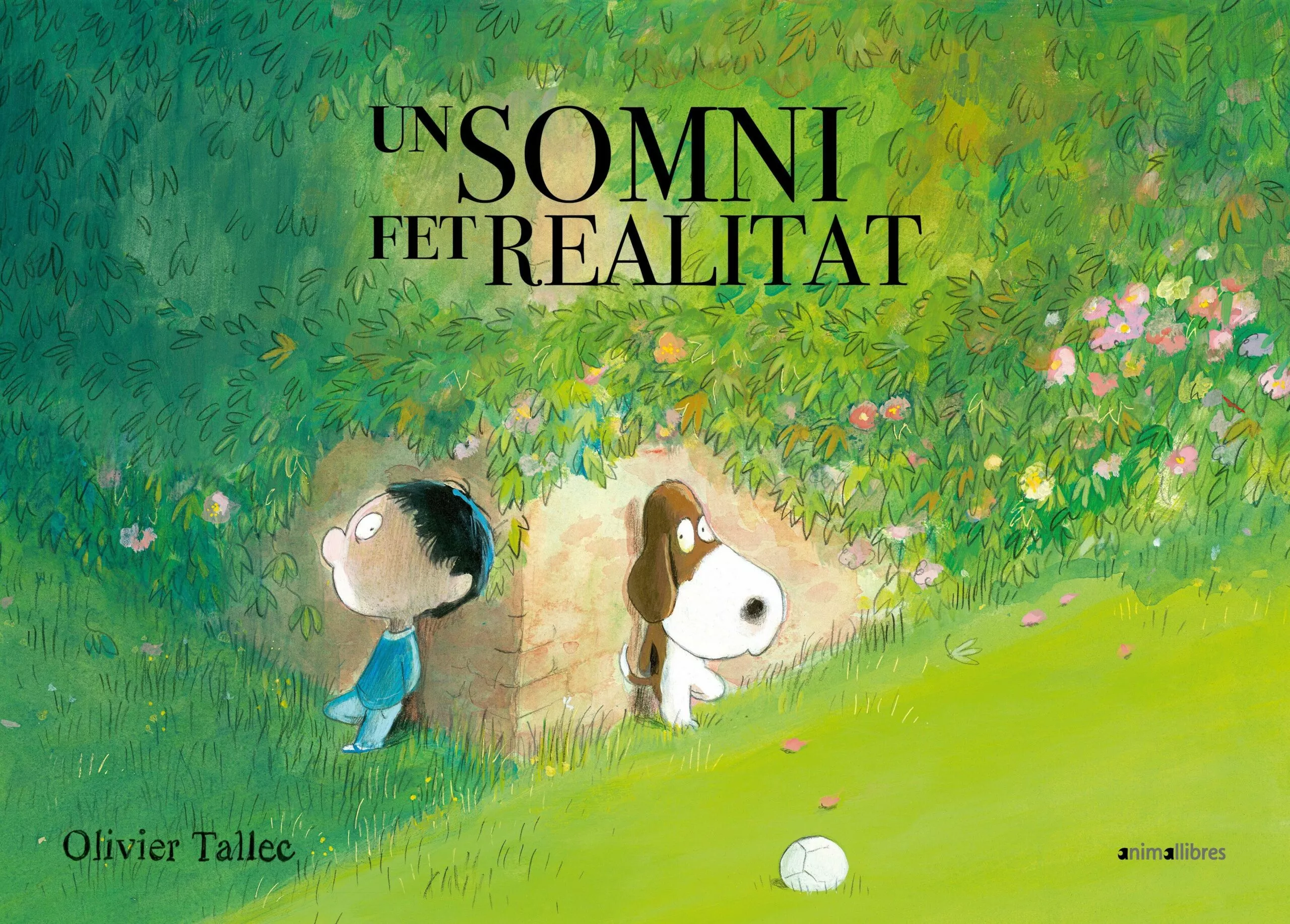 Portada del Libro Un Somni Fet Realitat de Olivier Tallec - 9788417599324