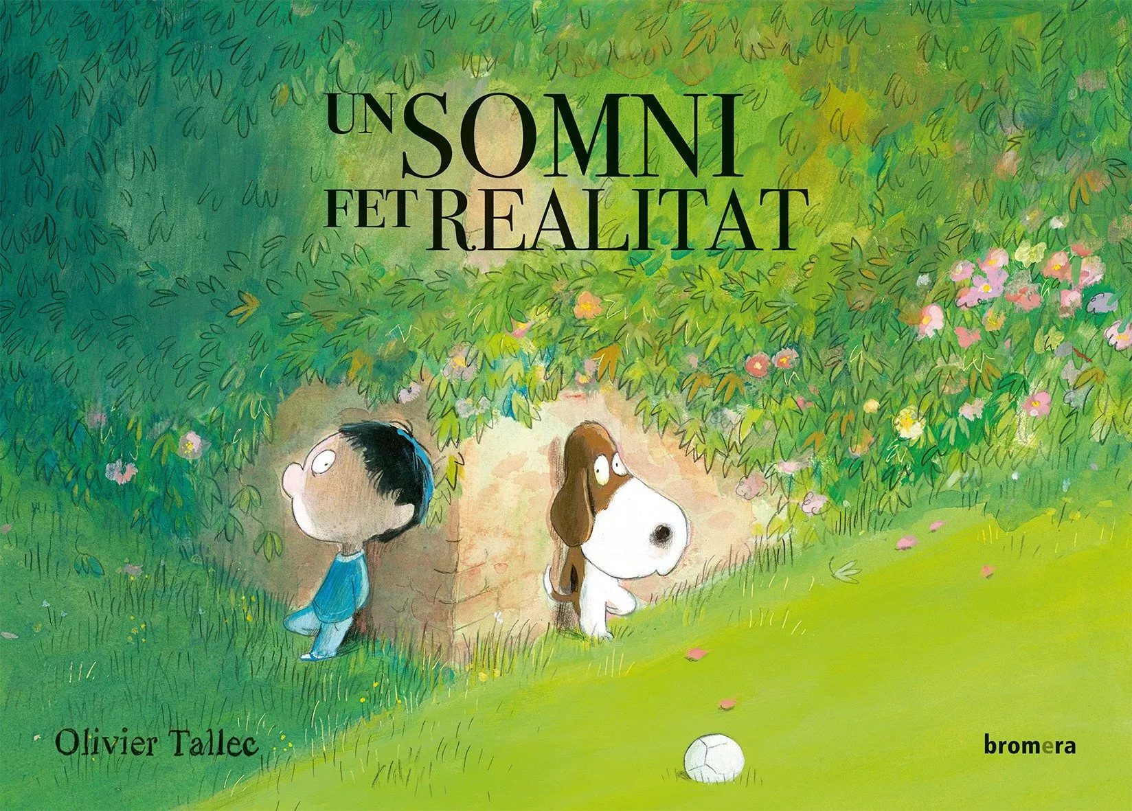 Portada del Libro Un Somni Fet Realitat (Val) de Olivier Tallec - 9788490263440