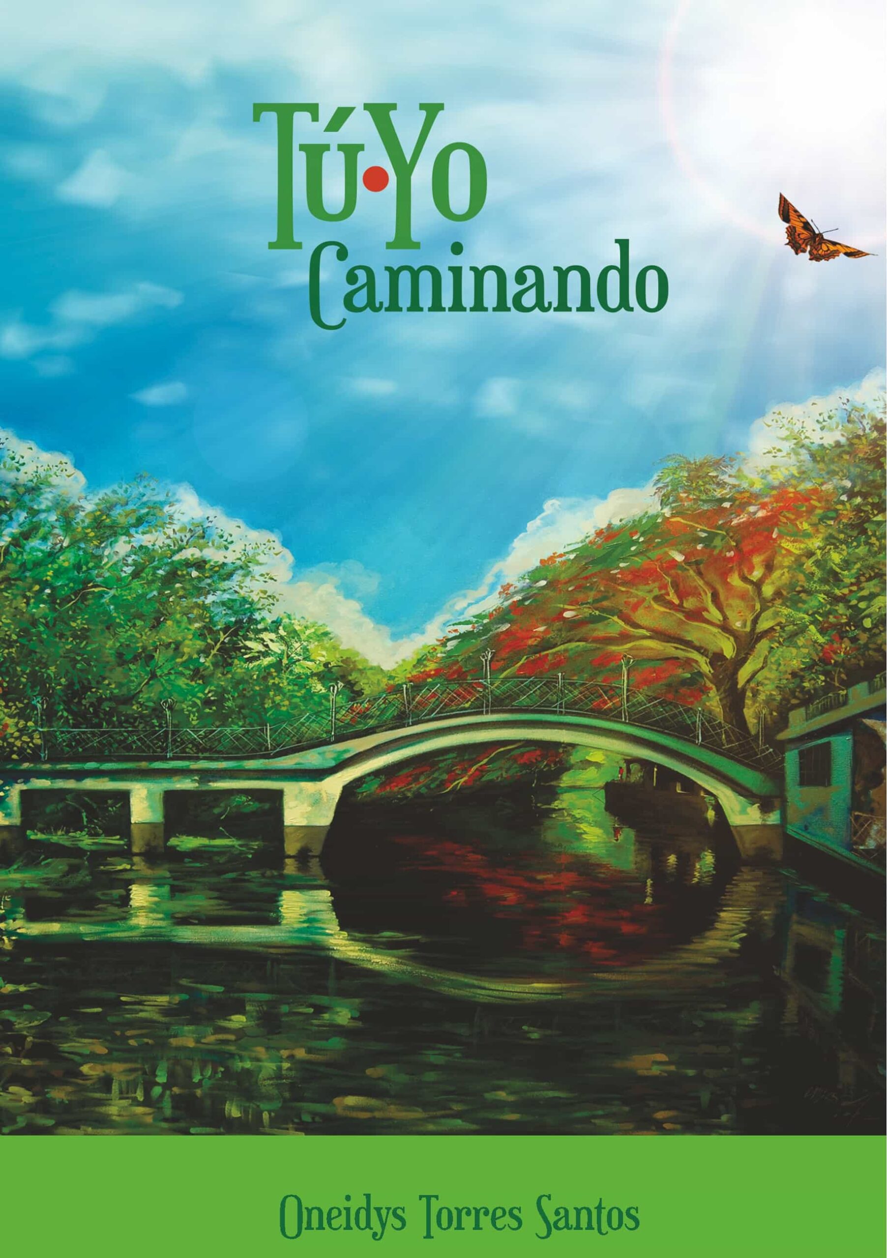 Portada del Libro Tú-Yo Caminando de Oneidys Torres Santos - 9788413260655