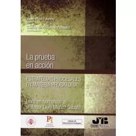 Portada del Libro Pruebas En Accion. Estrategias Procesales En Materia Probatoria. Libro de Oscar Fernandez Leon - 9788412115802