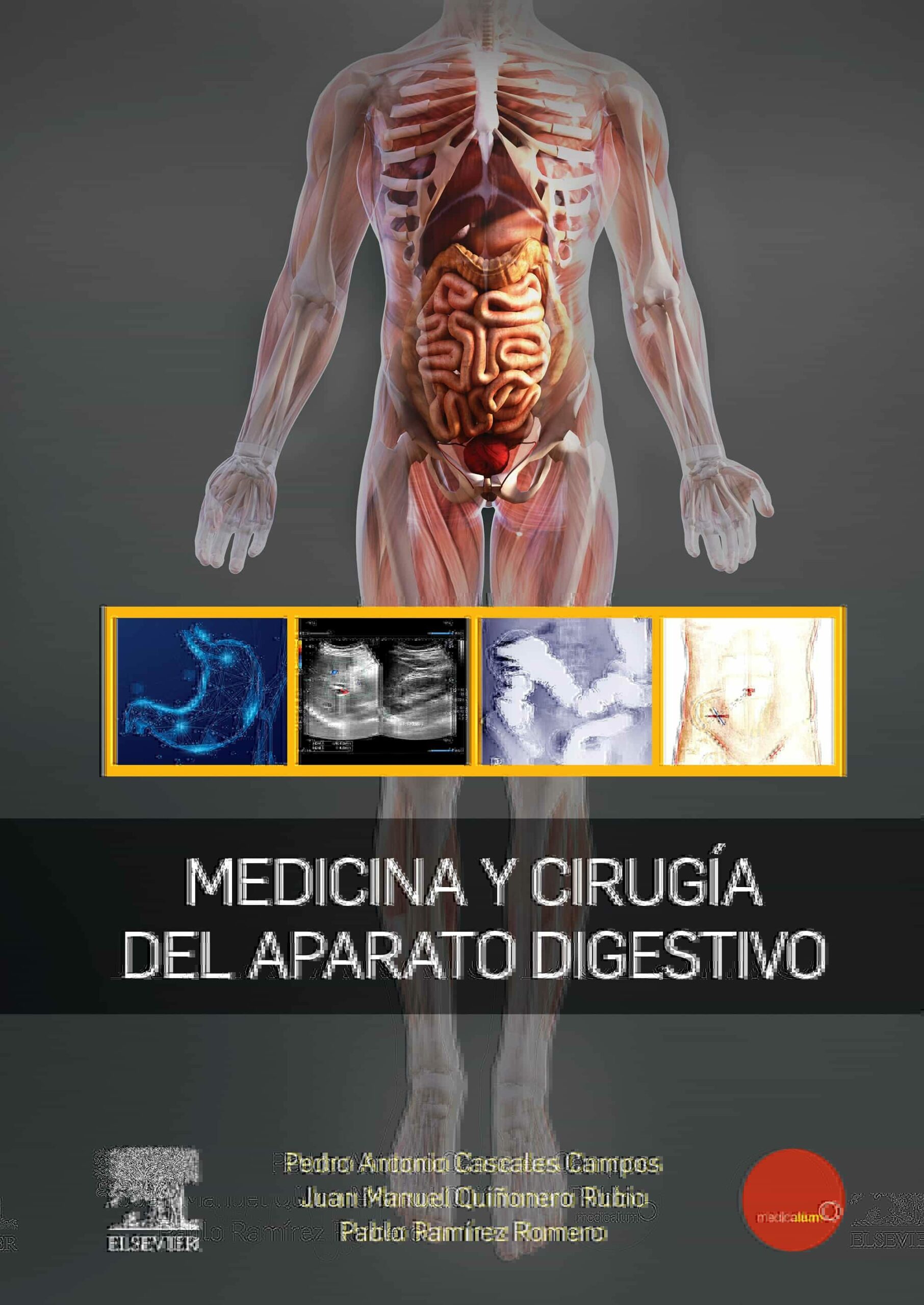 Portada del Libro Medicina Y Cirugia Del Aparato Digestivo de P. A. Cascales - 9788491136507