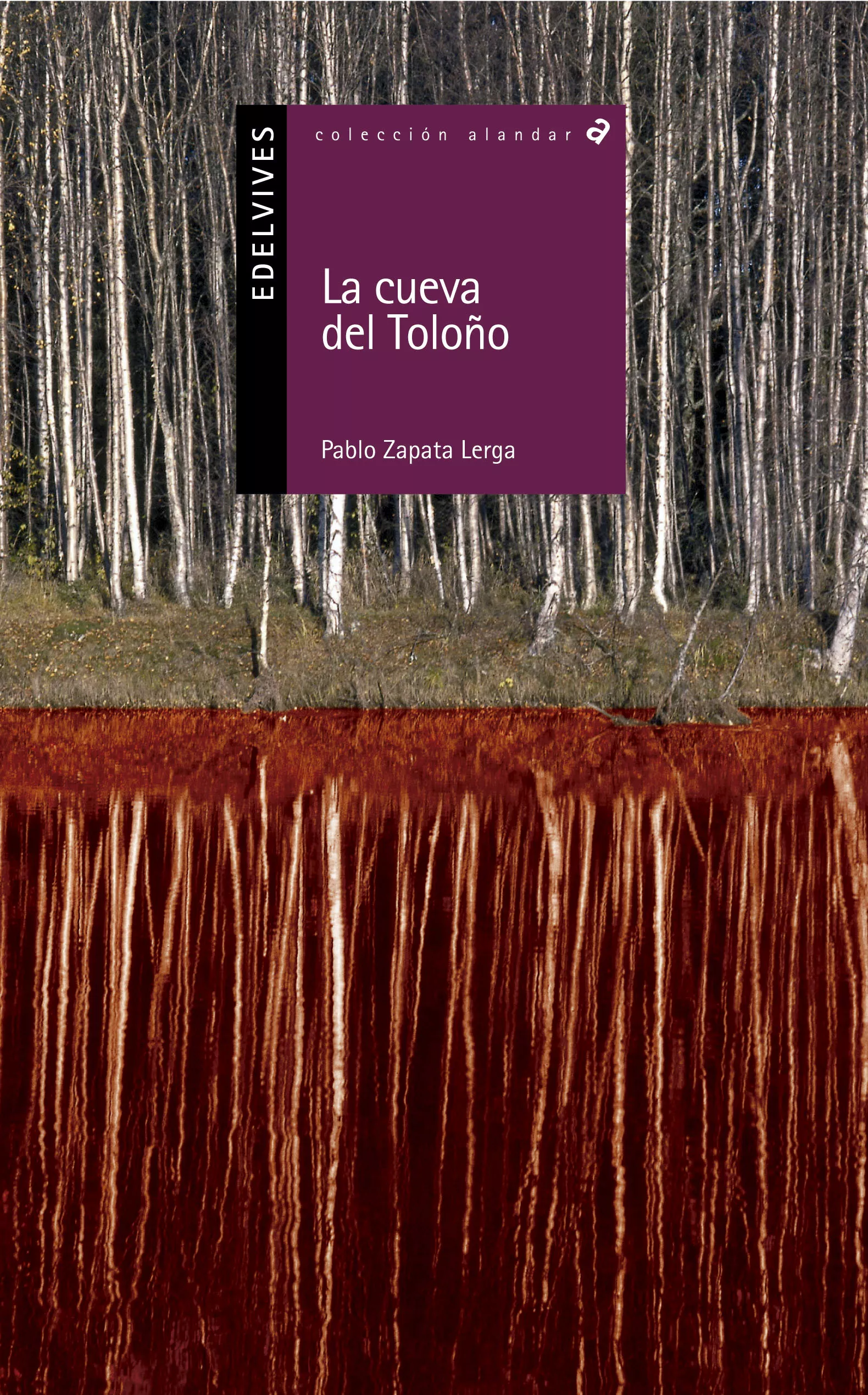Portada del Libro La Cueva Del Toloño de Pablo Zapata Lerga - 9788426359568
