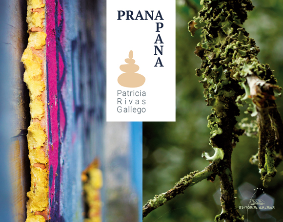 Portada del Libro Prana Apana de Patricia Rivas Gallego - 9788491514596