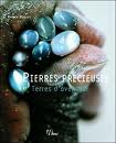 Portada del Libro Pierres Precieuses: Terres D Aventure de Patrick Voillot - 9782866654016
