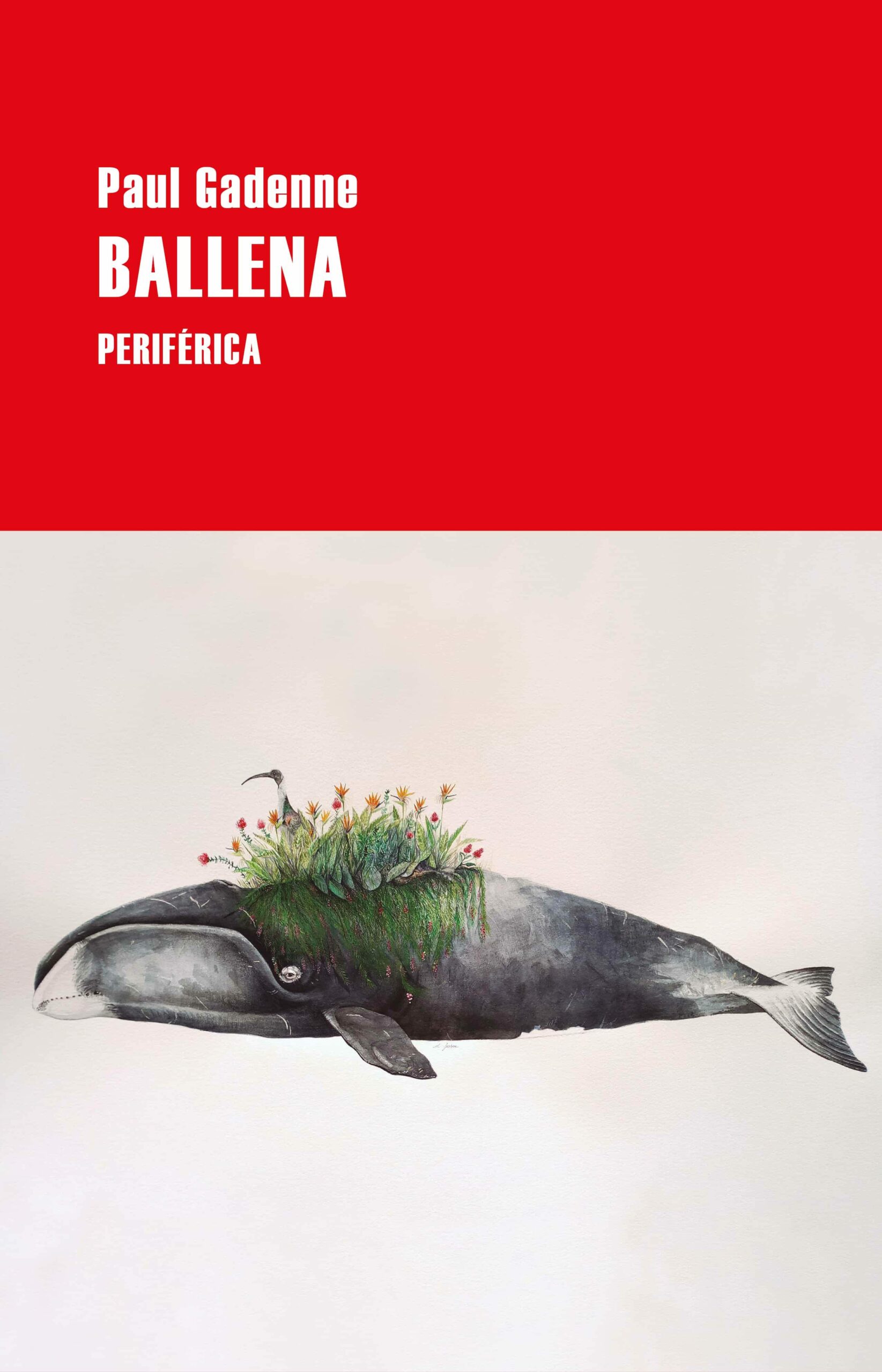 Portada del Libro Ballena de Paul Gadenne - 9788418264542
