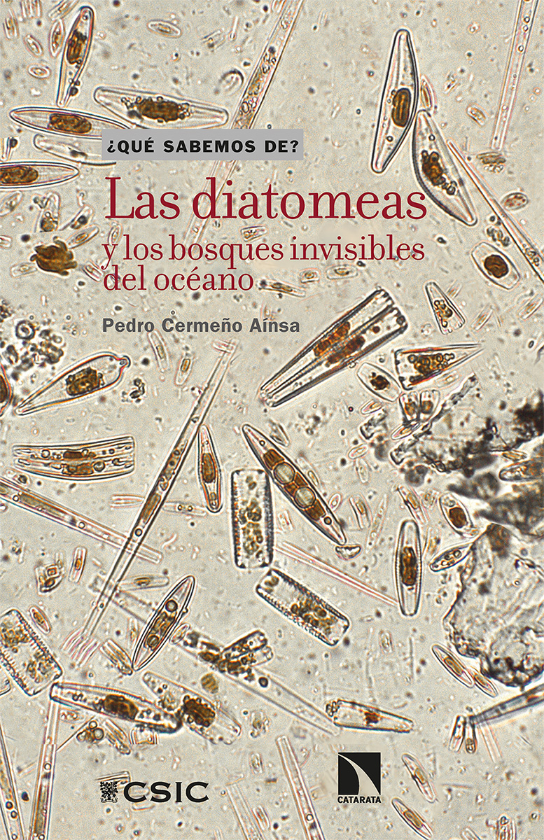 Portada del Libro Las Diatomeas Y Los Bosques Invisibles Del Oceano de Pedro Cermeño Ainsa - 9788490979730
