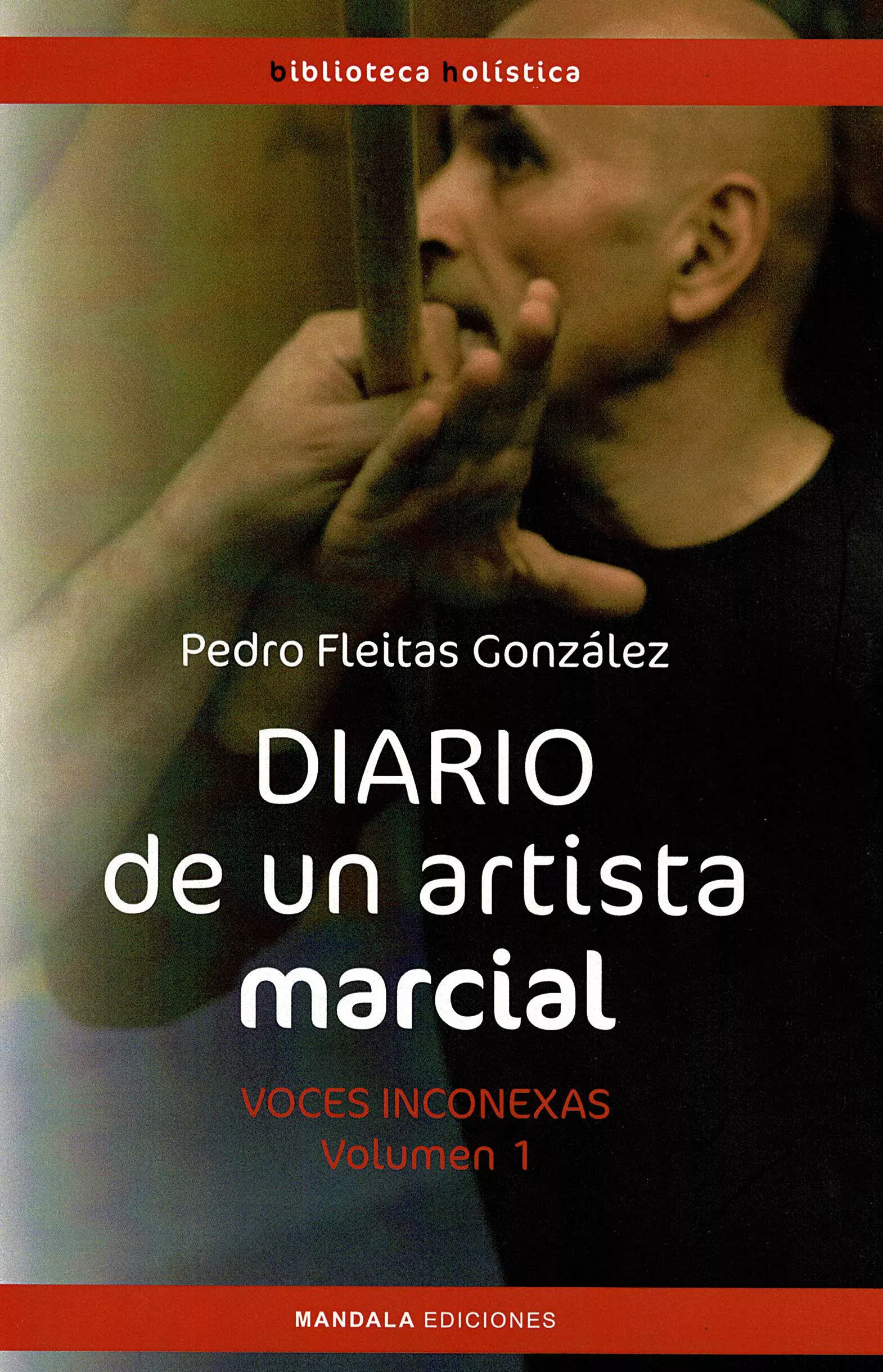 Portada del Libro Diario De Un Artista Marcial: Voces Inconexas de Pedro Fleitas Gonzalez - 9788417693930