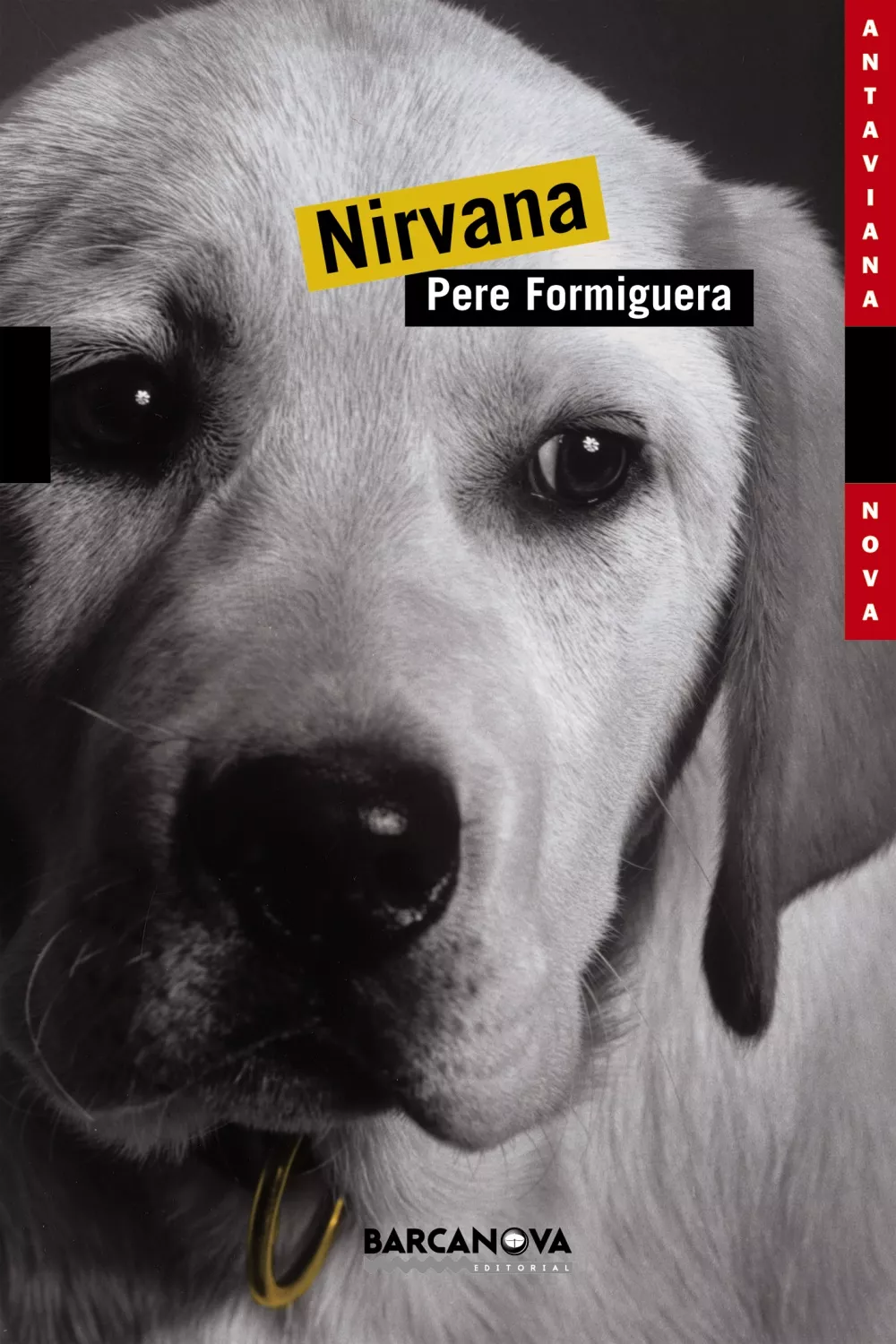 Portada del Libro Nirvana de Pere Formiguera - 9788448919443
