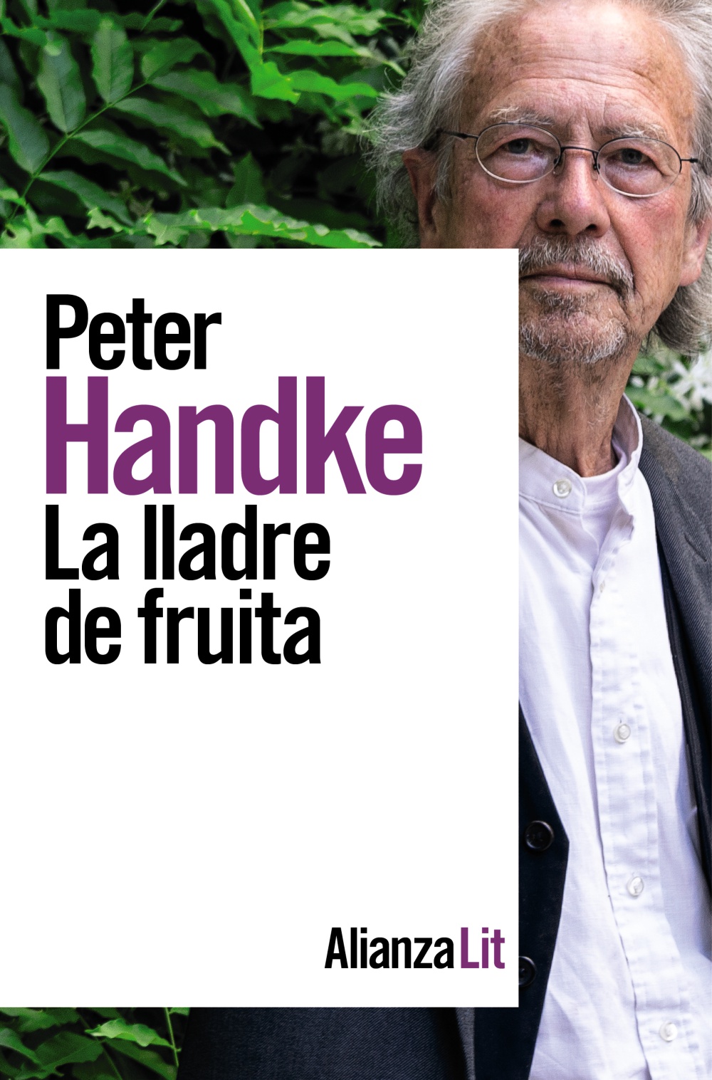 Portada del Libro La Lladre De Fruita: O Viatge D Anada A L Interior Del Pais de Peter Handke - 9788491819455