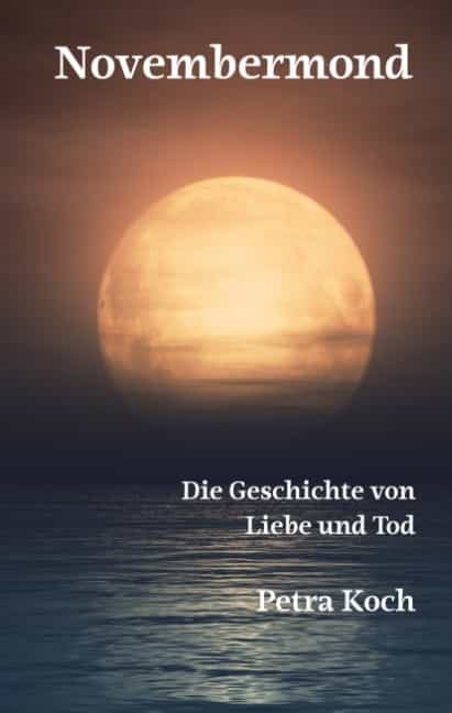 Portada del Libro Novembermond de Petra Koch - 9783752822298