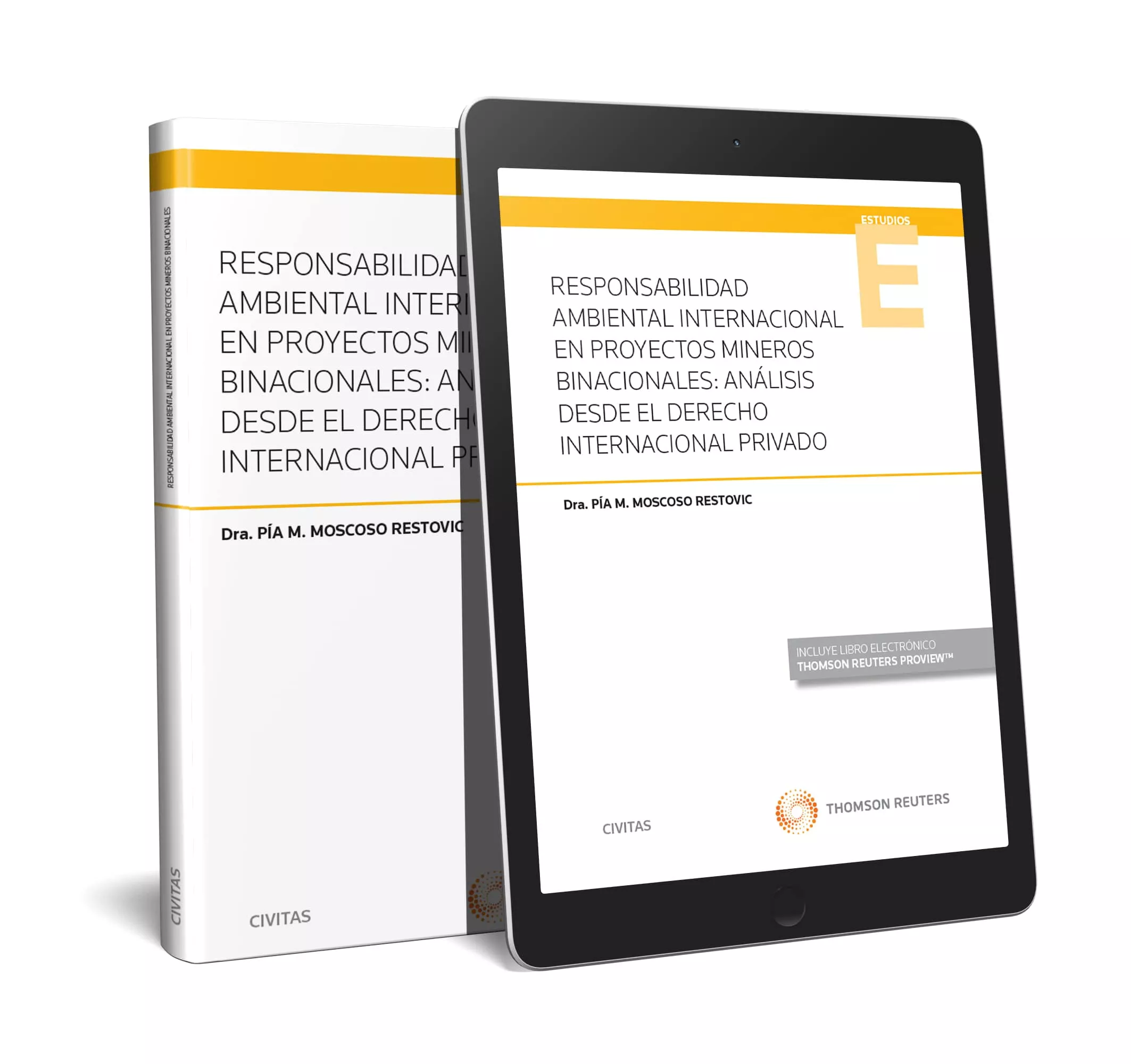 Portada Del Libro Responsabilidad Ambiental Internacional En Proyectos Mineros Binaciona De Pia M. Moscoso Restovic - 9788413098586