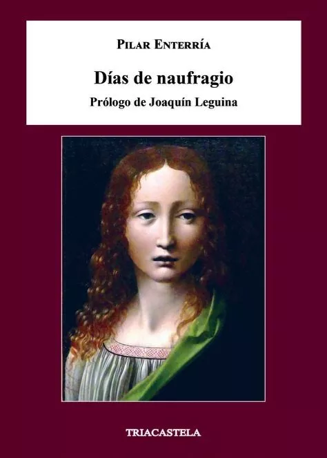 Portada del Libro Días De Naufragio de Pilar Enterria - 9788417252106