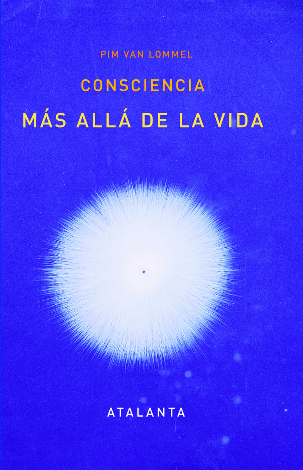 Portada del Libro Consciencia Mas Alla De La Vida (6ª Ed.) de Pim Van Lommel - 9788412074321