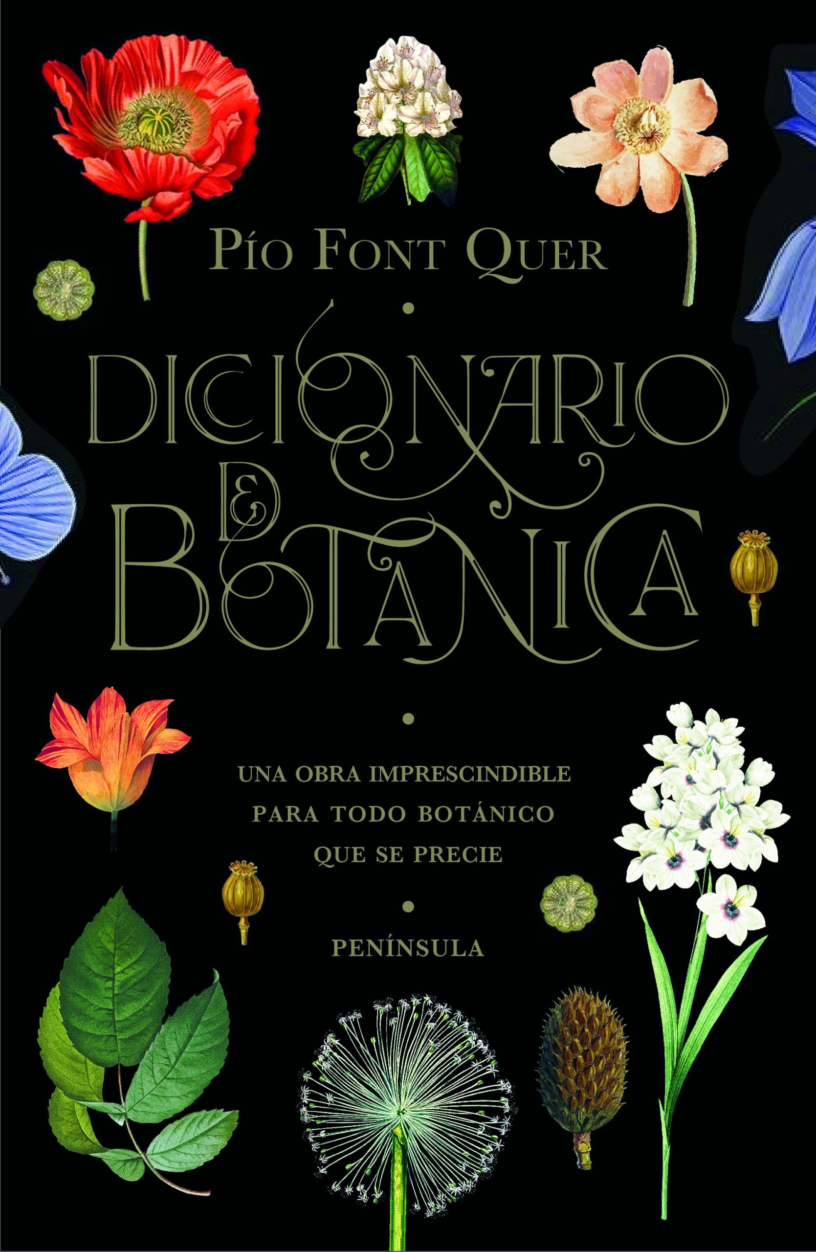 Portada del Libro Diccionario De Botánica de Pio Font Quer - 9788499429076