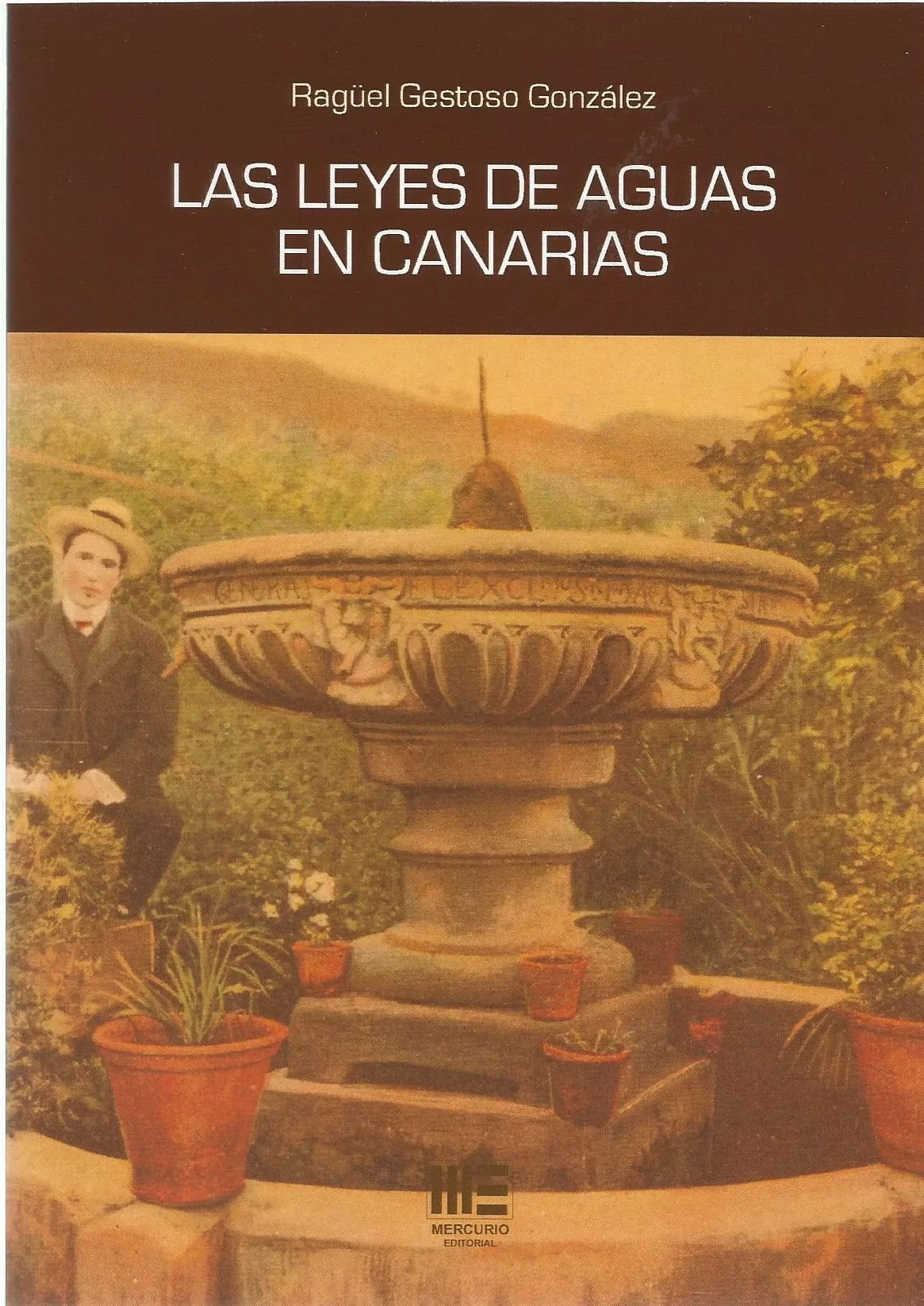 Portada del Libro Las Leyes De Aguas En Canarias de Raguel Gestoso Gonzalez - 9788417890353