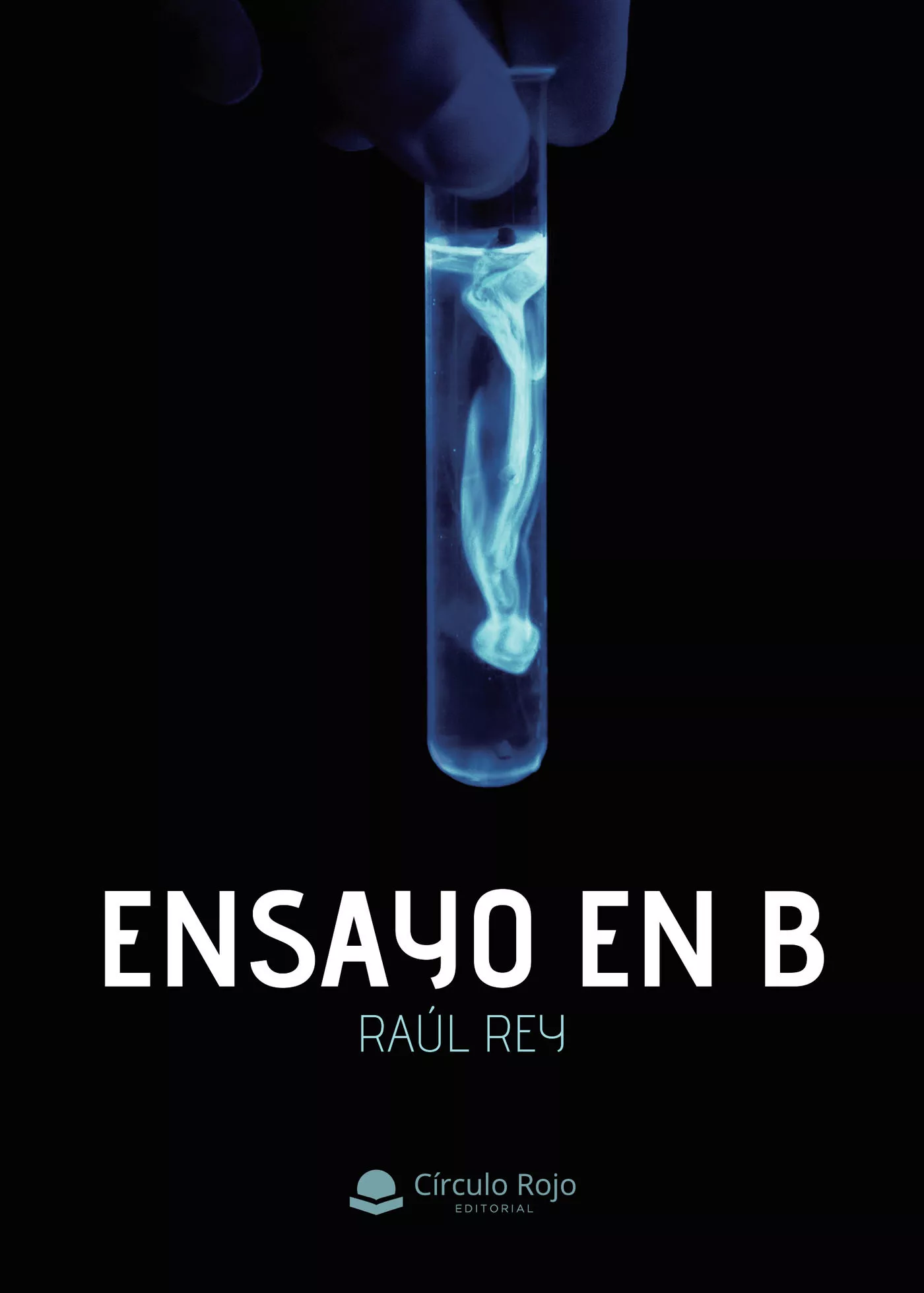 Portada del Libro Ensayo En B de Raul Rey - 9788413318776