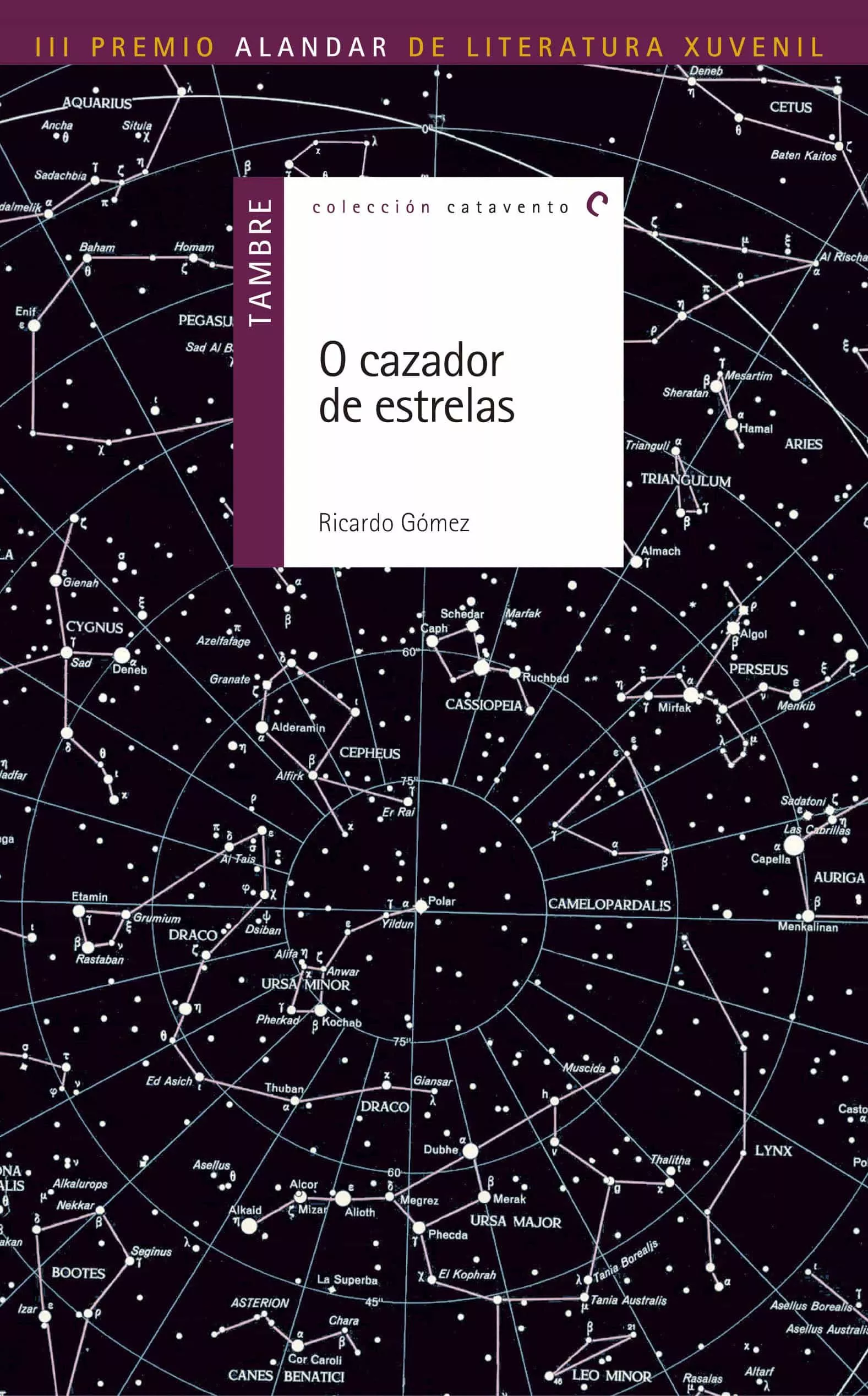 Portada del Libro O Cazador De Estrelas de Ricardo Gomez Gil - 9788426354709
