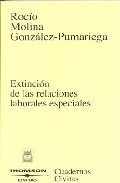 Portada del Libro Extincion. Relaciones Laborales Especiales de Rocio Molina Gonzalez Pumariega - 9788447027255