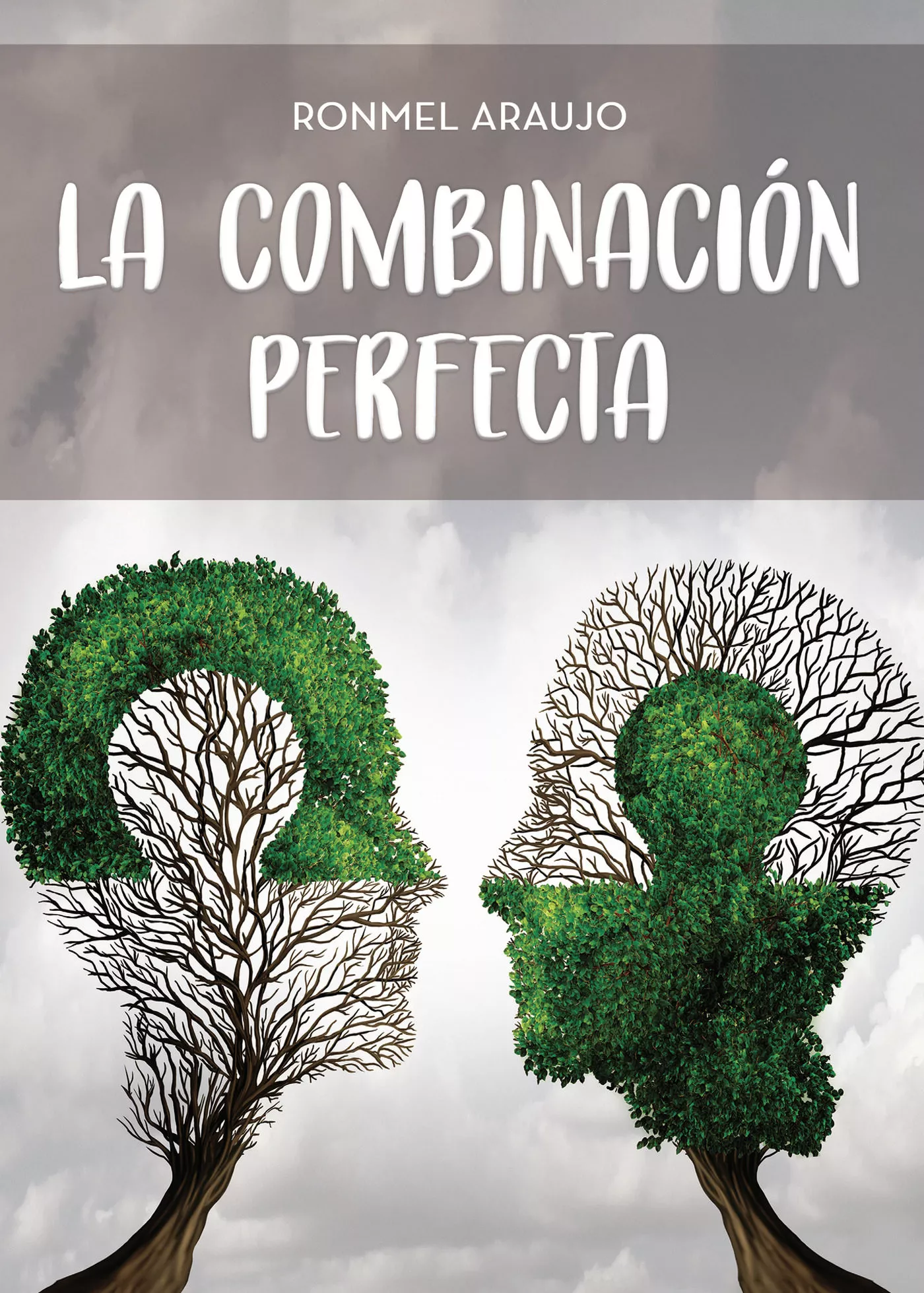 Portada del Libro La Combinación Perfecta de Ronmel Geovanny Araujo Soto - 9788417848835