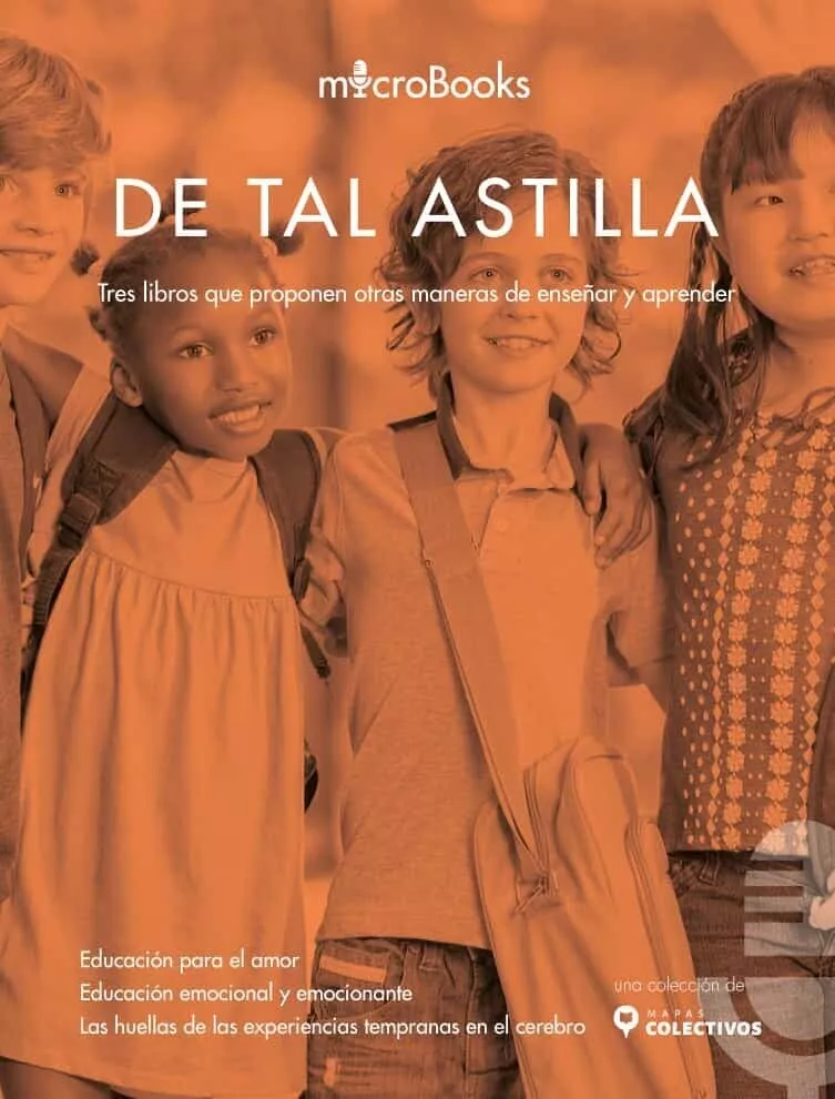 Portada del Libro De Tal Astilla de Rosa Maria Fernandez Garcia - 9788412006445