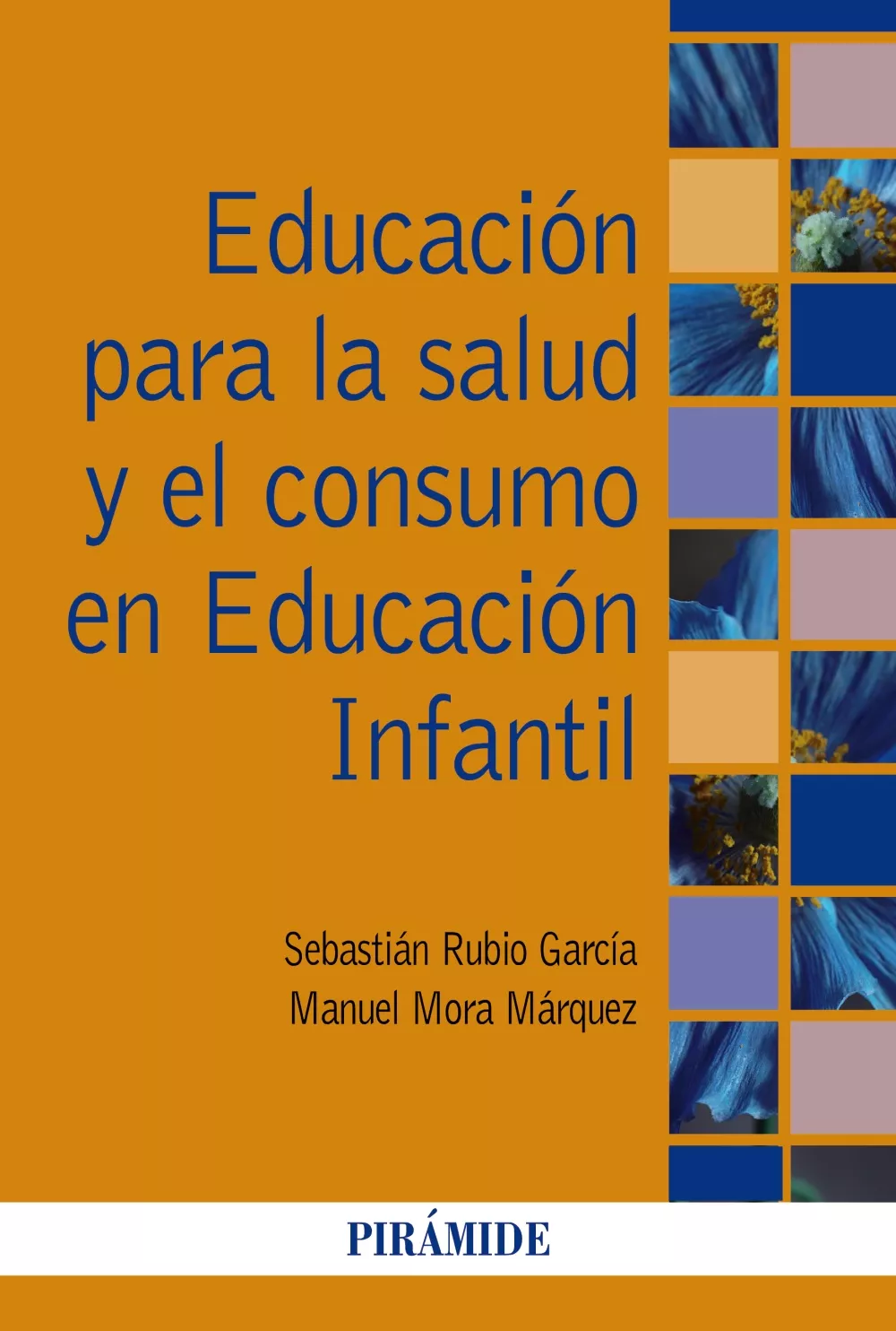 Portada del Libro Educacion Para La Salud Y El Consumo En Educacion Infantil de Sebastian Rubio Garcia - 9788436841879