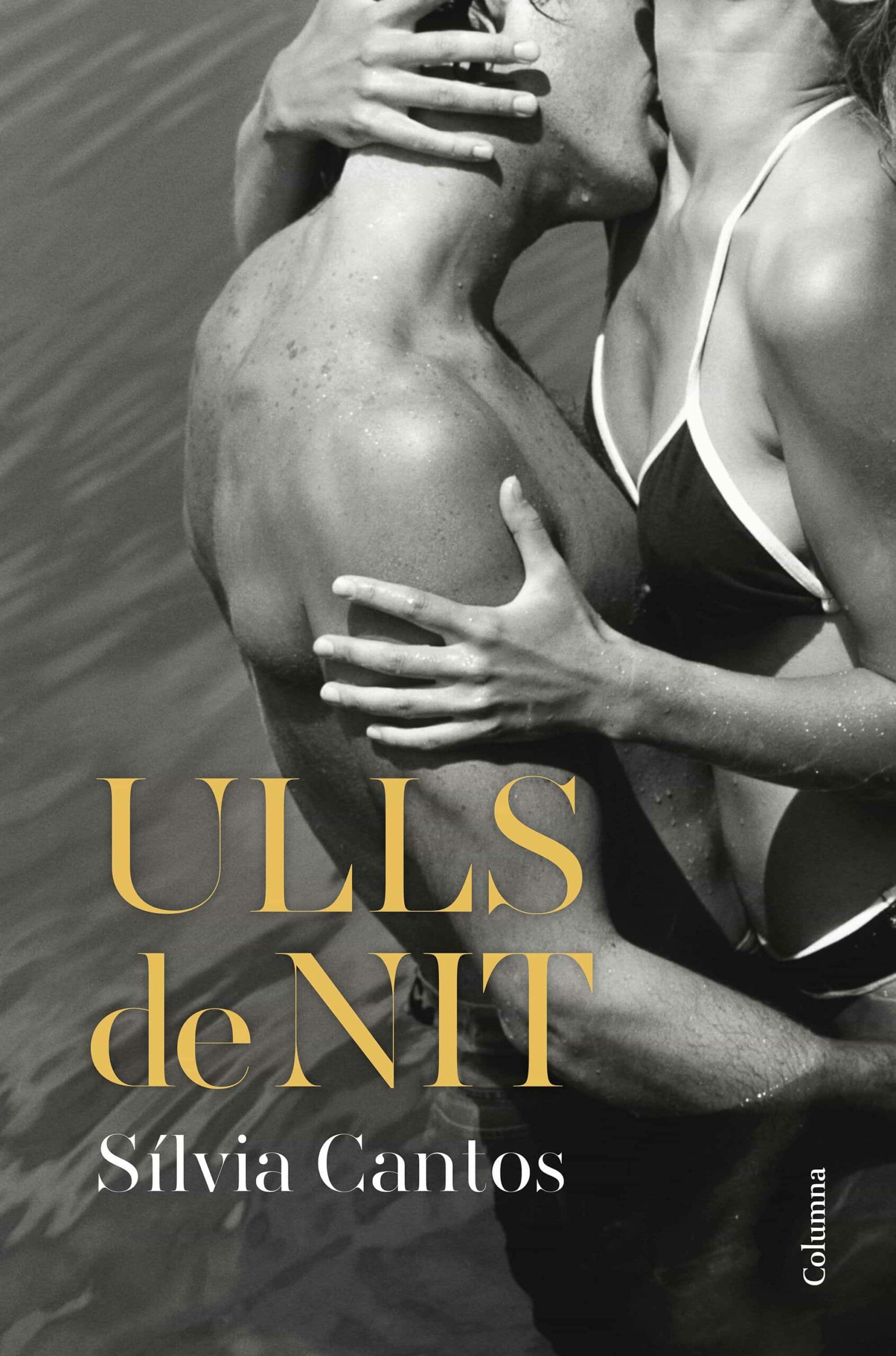 Portada del Libro Ulls De Nit de Silvia Cantos - 9788466426633